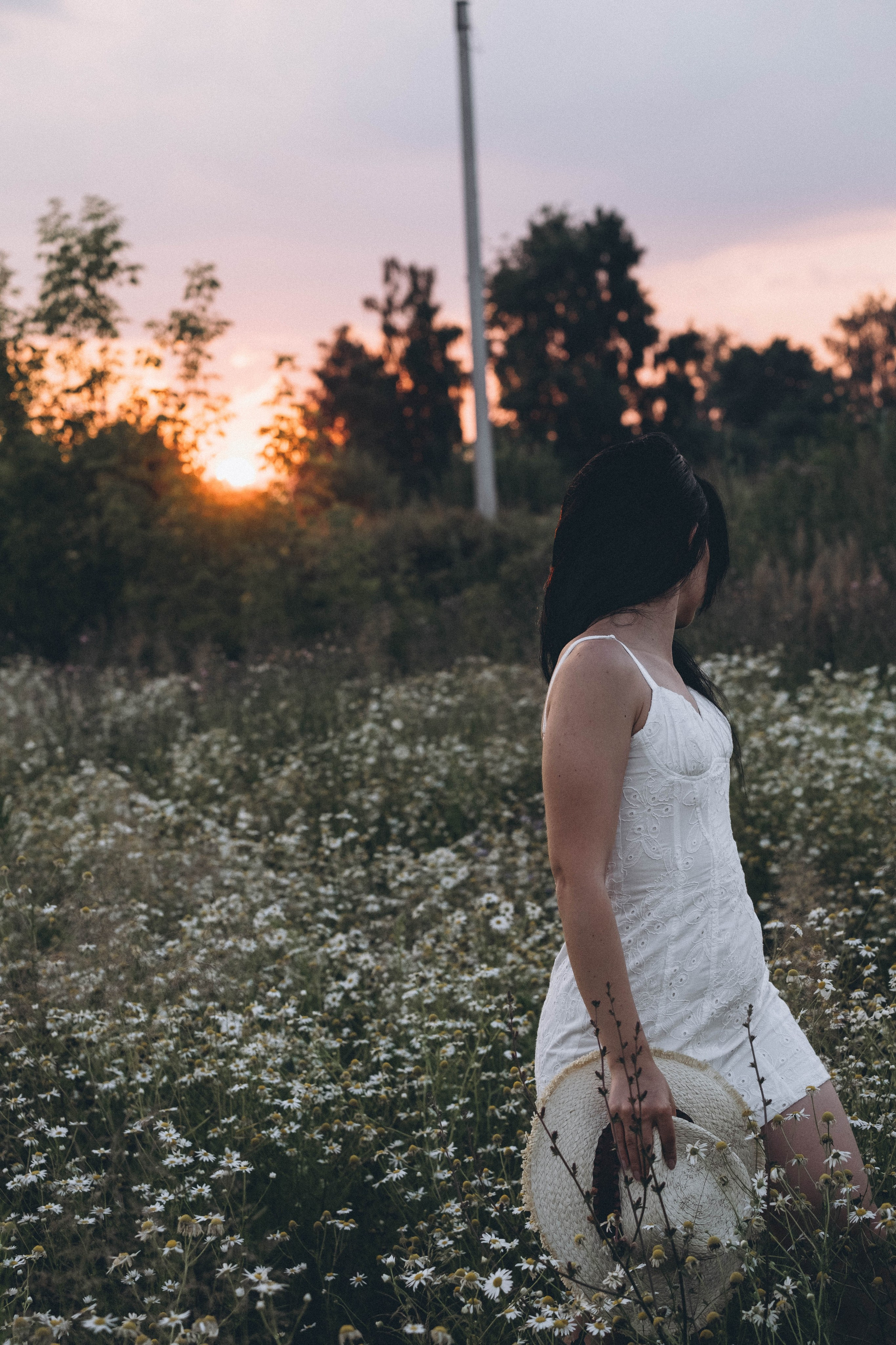 Ромашковое поле. Профессиональный фотограф, Санкт-Петербург — Виктория Богомолова