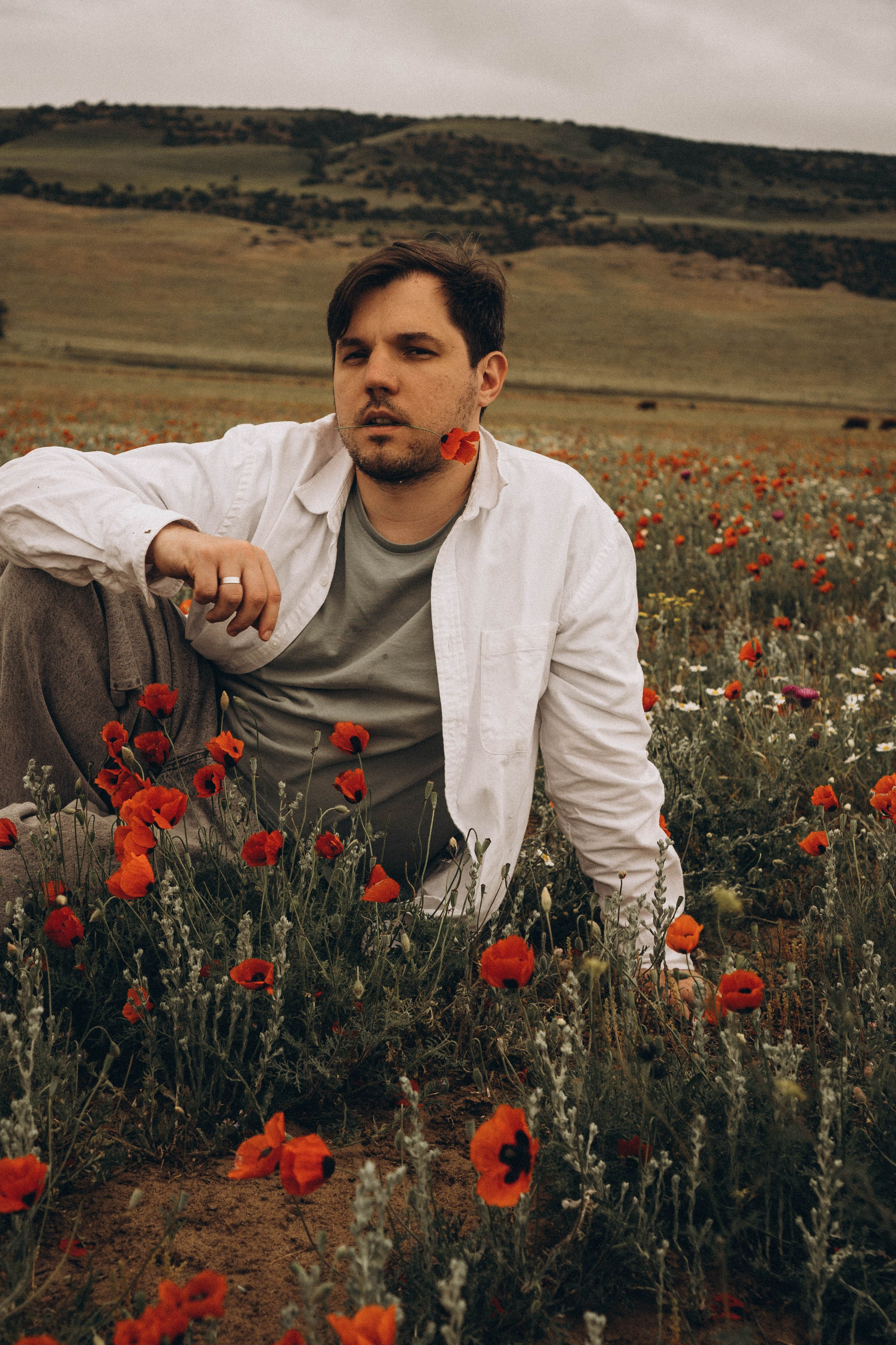 Маки. Профессиональный фотограф, Санкт-Петербург — Виктория Богомолова