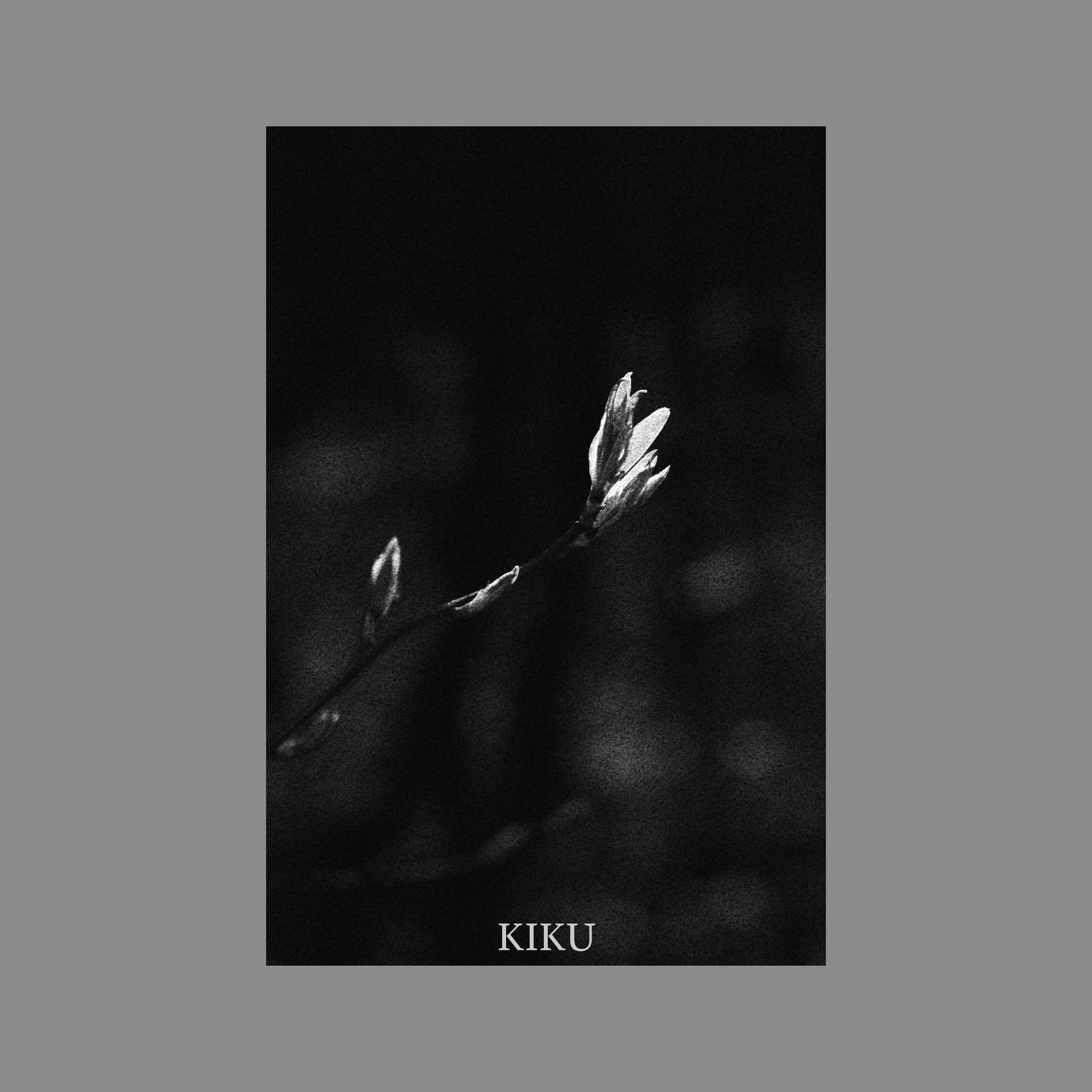 Тихие имена (серия). Мистические фотосессии в Санкт-Петербурге от мистика Ильи Шенгелия