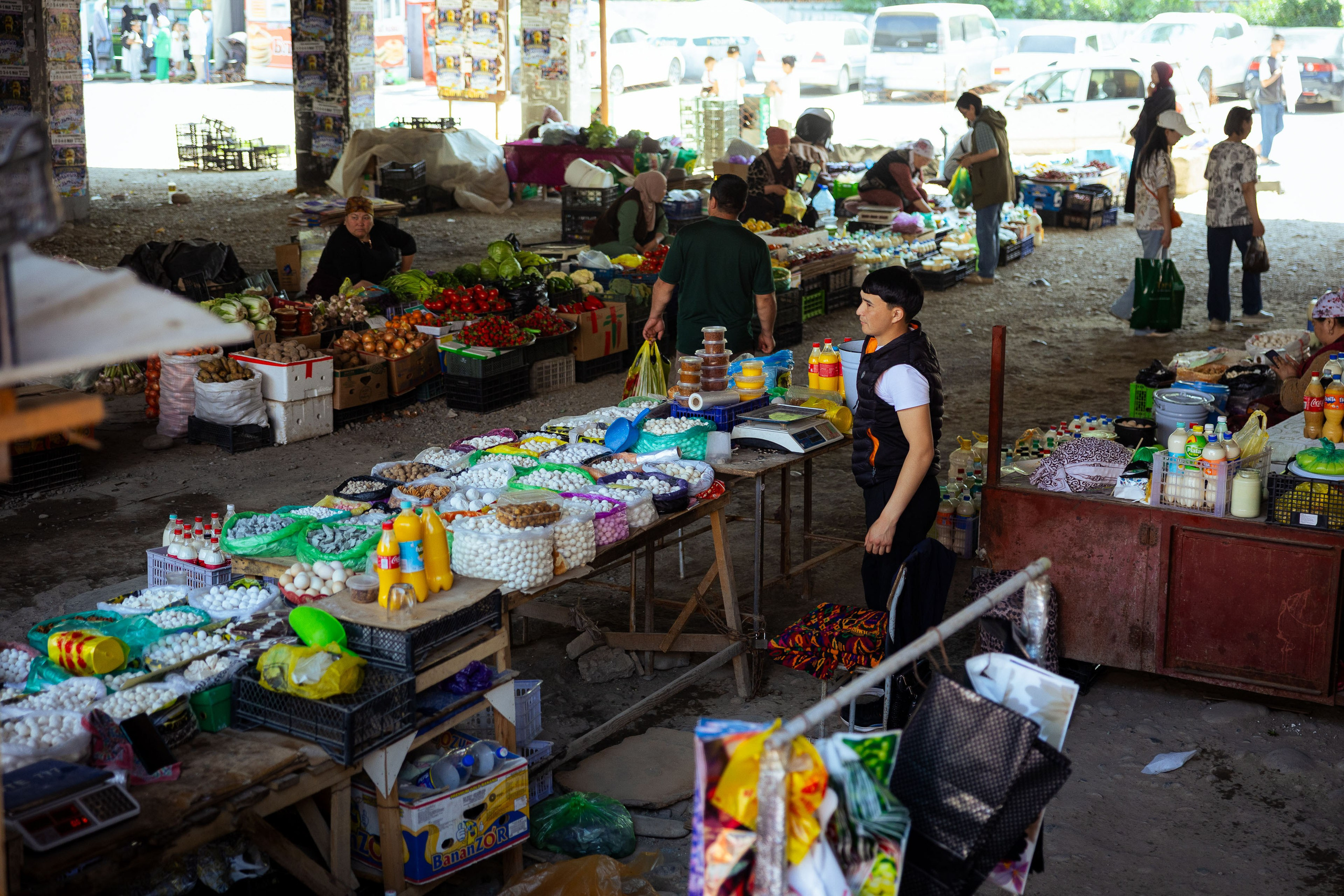 Кыргызстан (весна 2025). Фотограф Виноградов Константин
