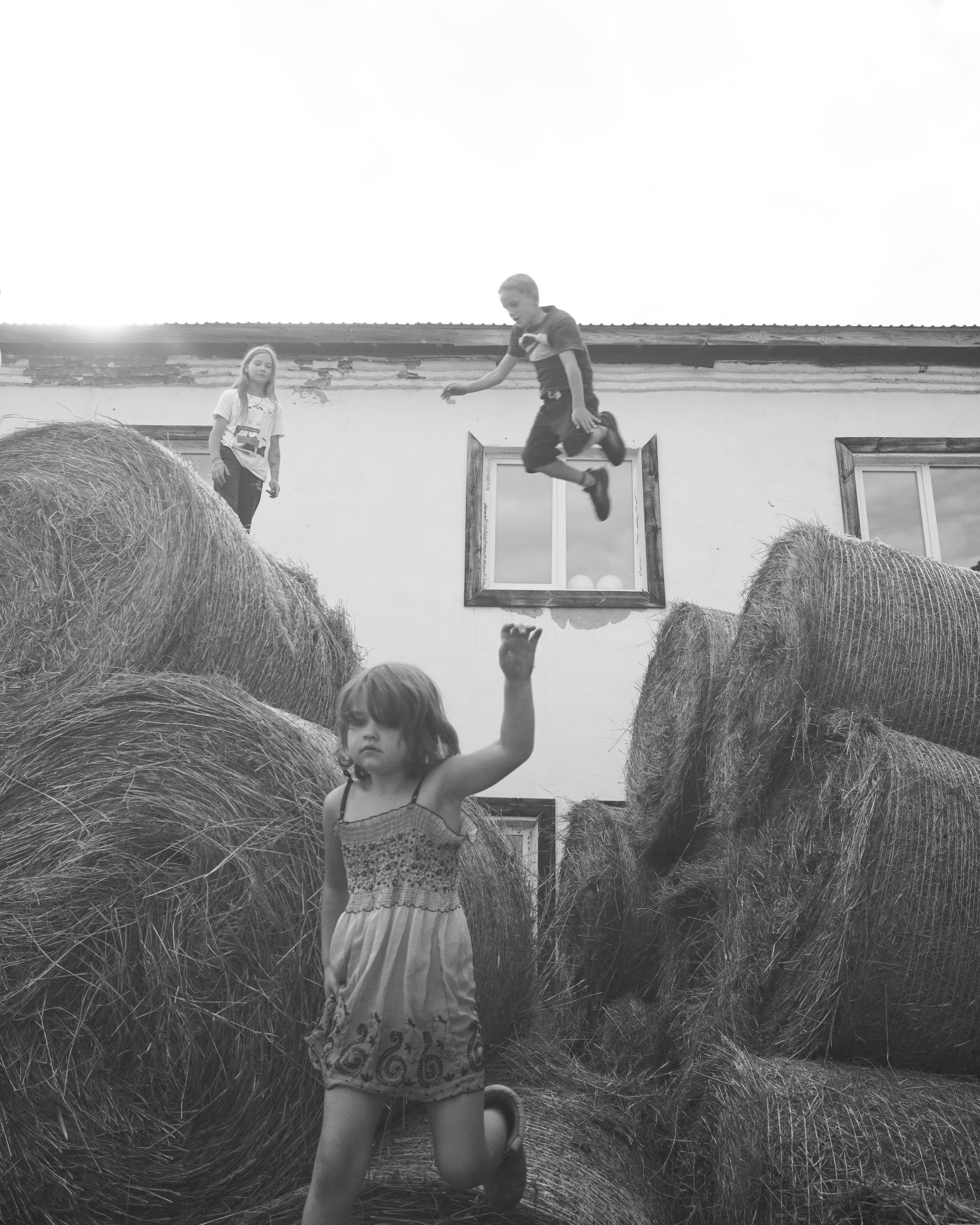 Ферма. Фотограф/видеограф Никита Дудин
