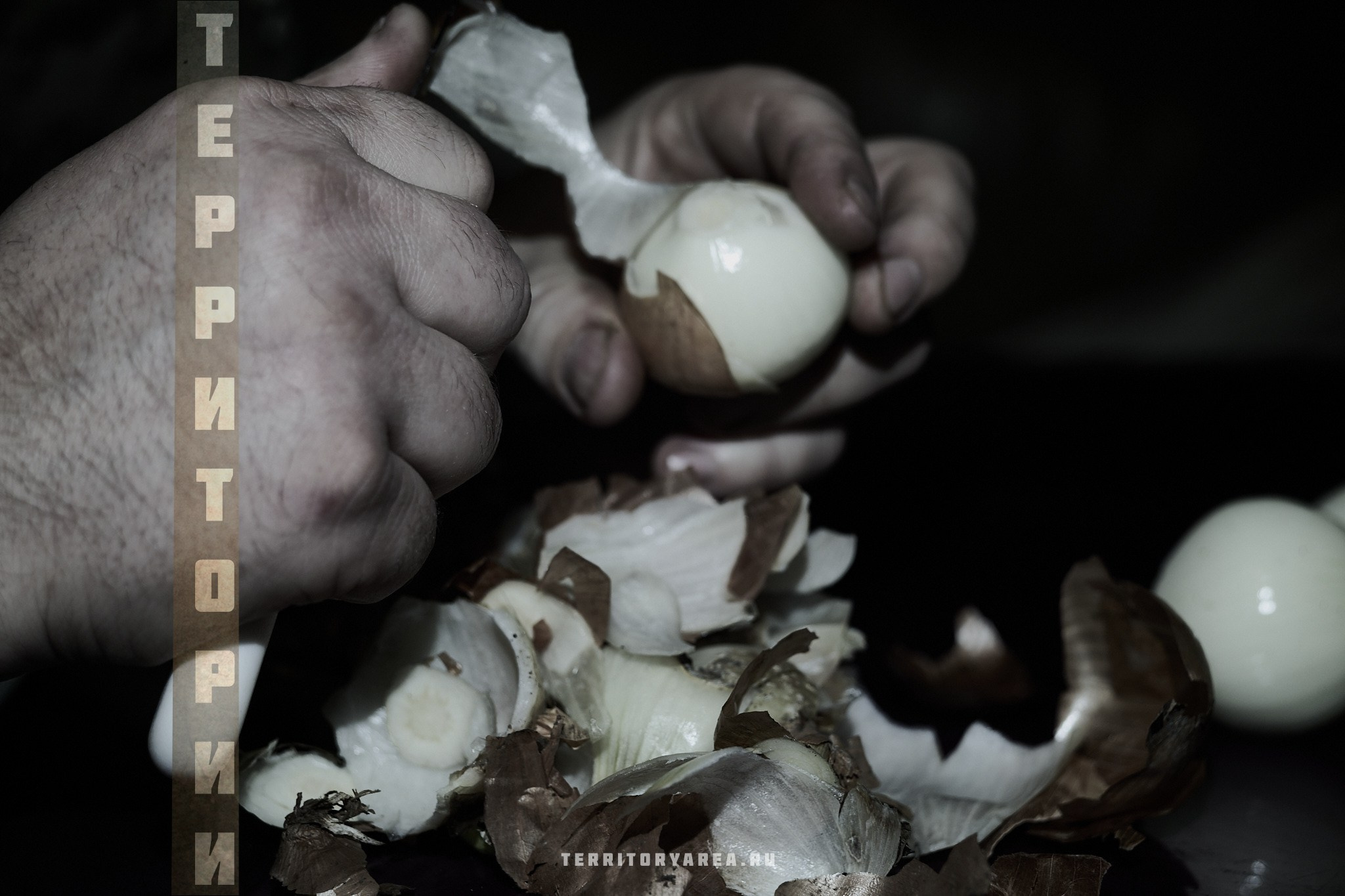 Открытки фотопроекта «Территории». Фотопроект «Территории»