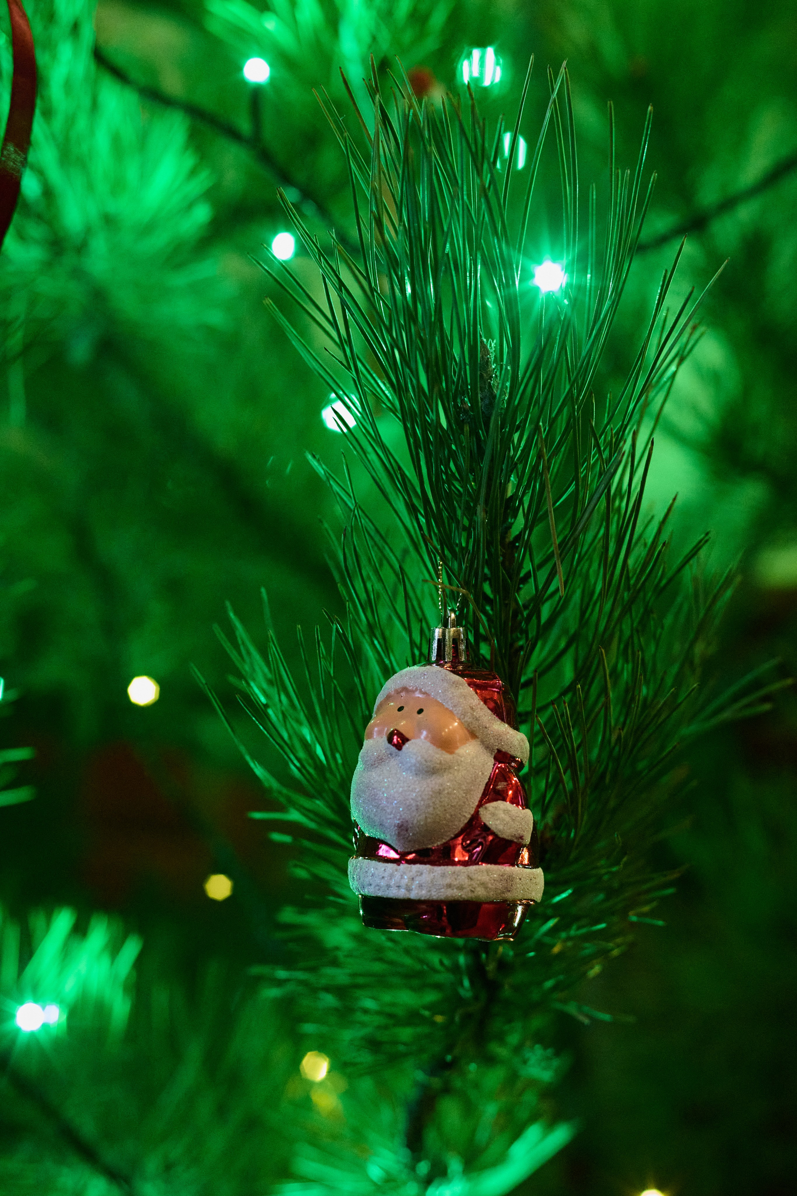 Луганск. Январь 2026. Фотопроект «Территории»