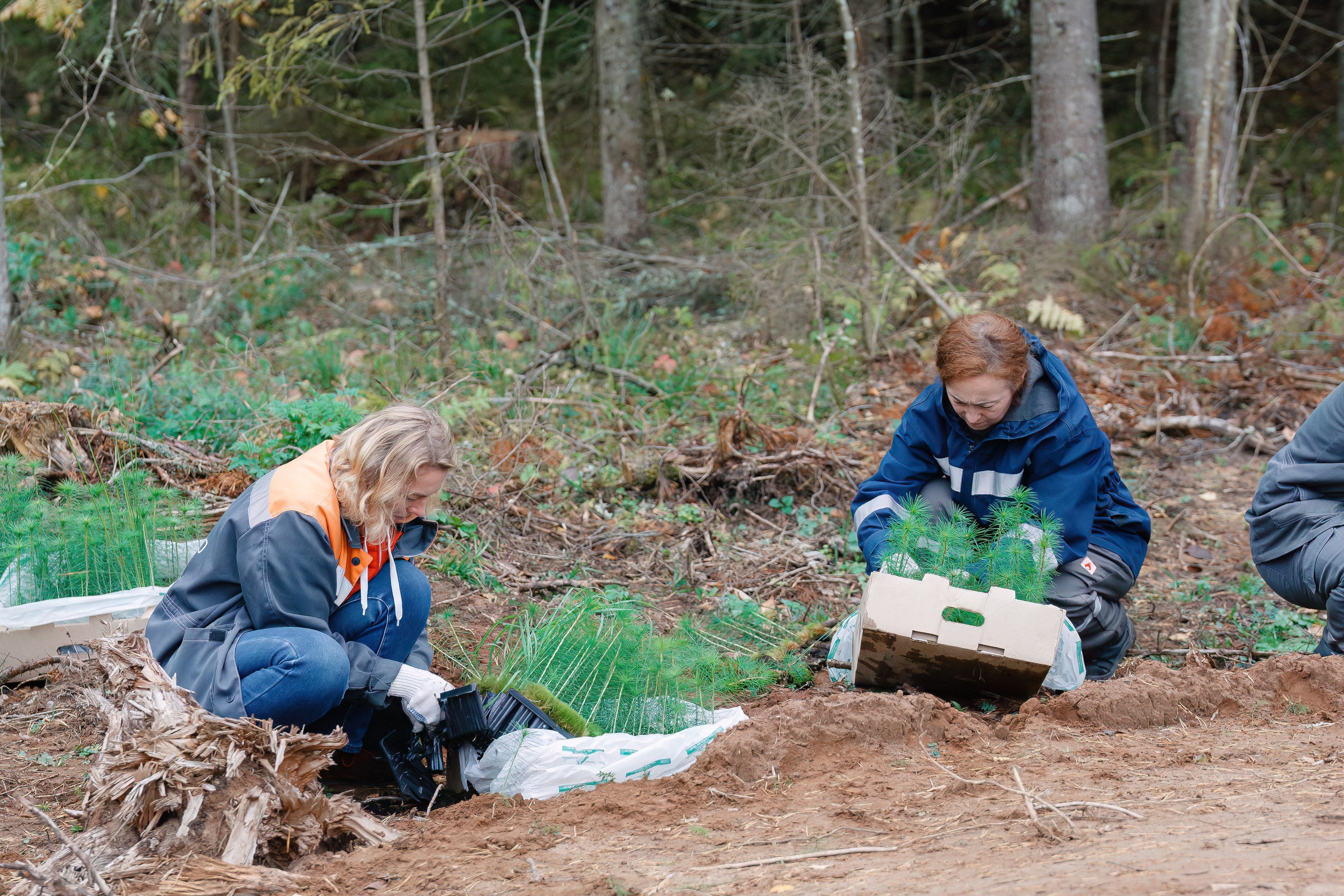 Сады памяти. Свадебный и репортажный фотограф Киров | Вадим Карпук