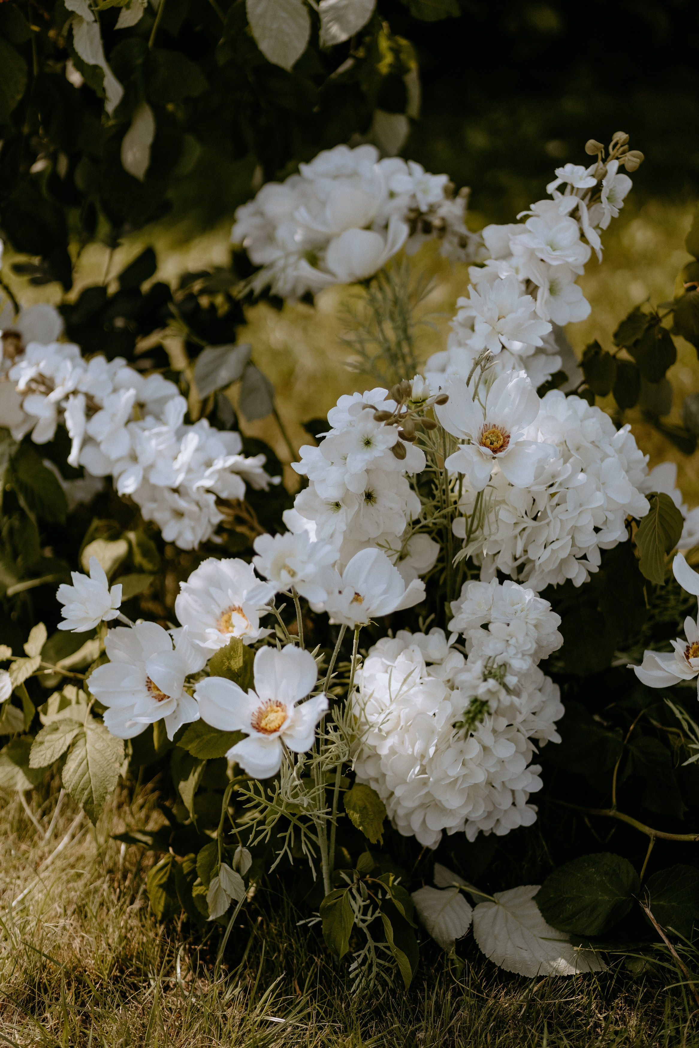 Violetta & Dmitriy. Фотограф Анна Велёнда
