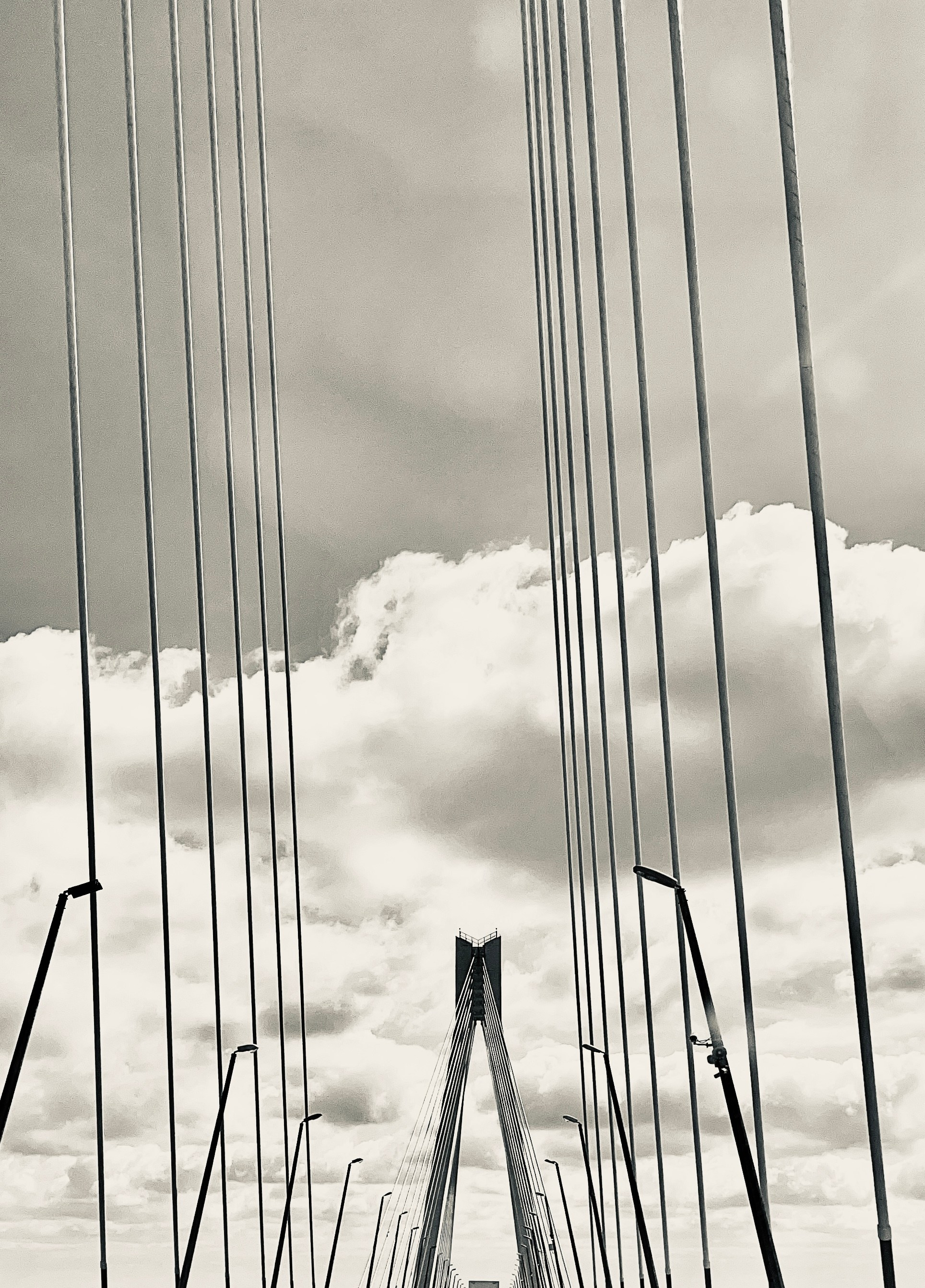 Фотограф Москва. Фотограф и художник в Москве Евгения Нюнина