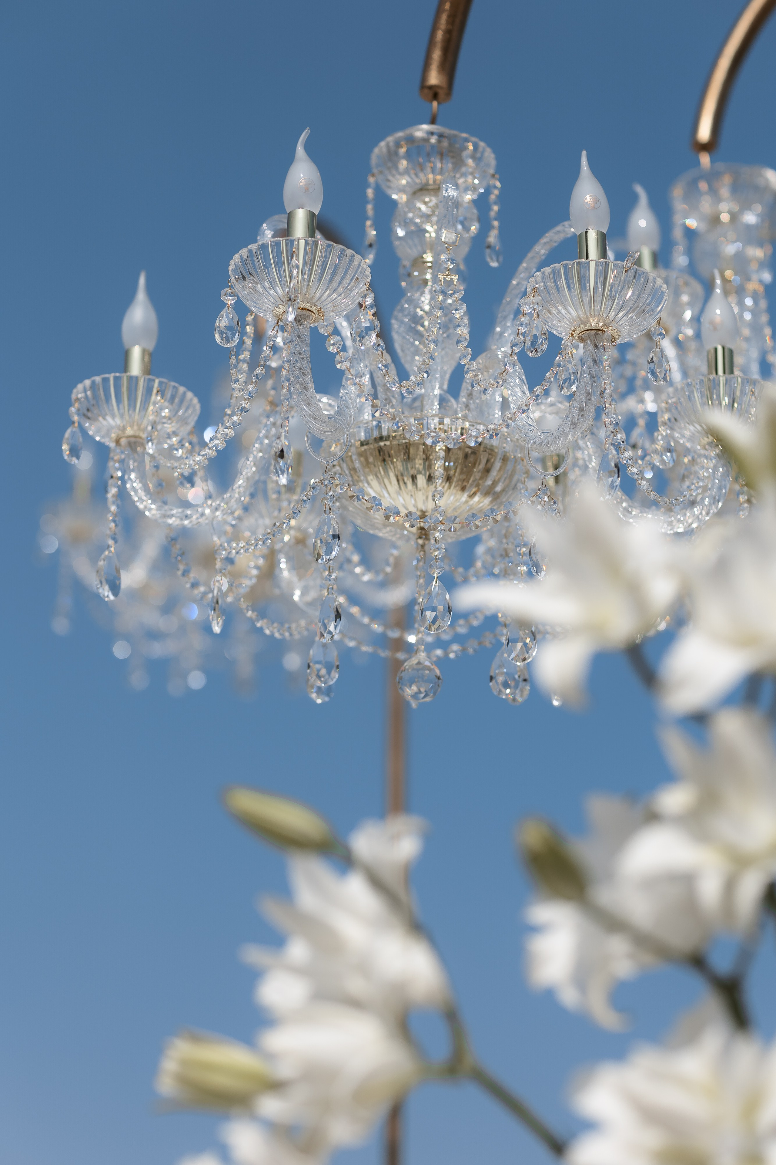 Владислав & Юлия. Свадебный фотограф Виктория Карпова