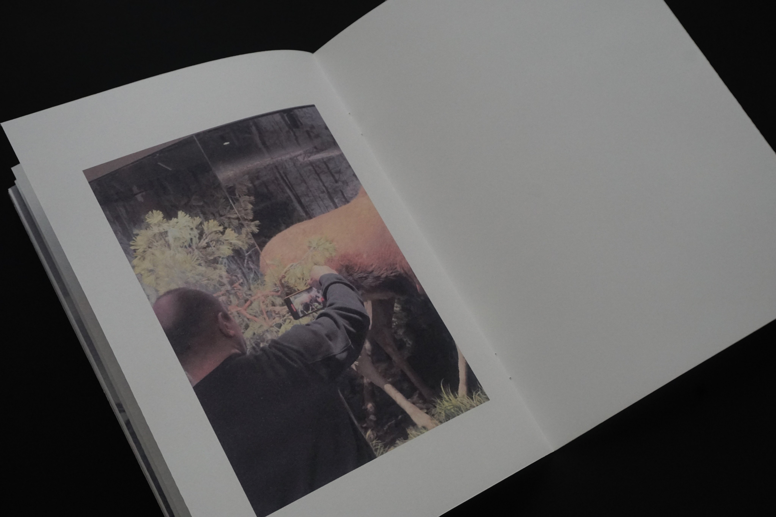 Overview. Anastasia Maryasova