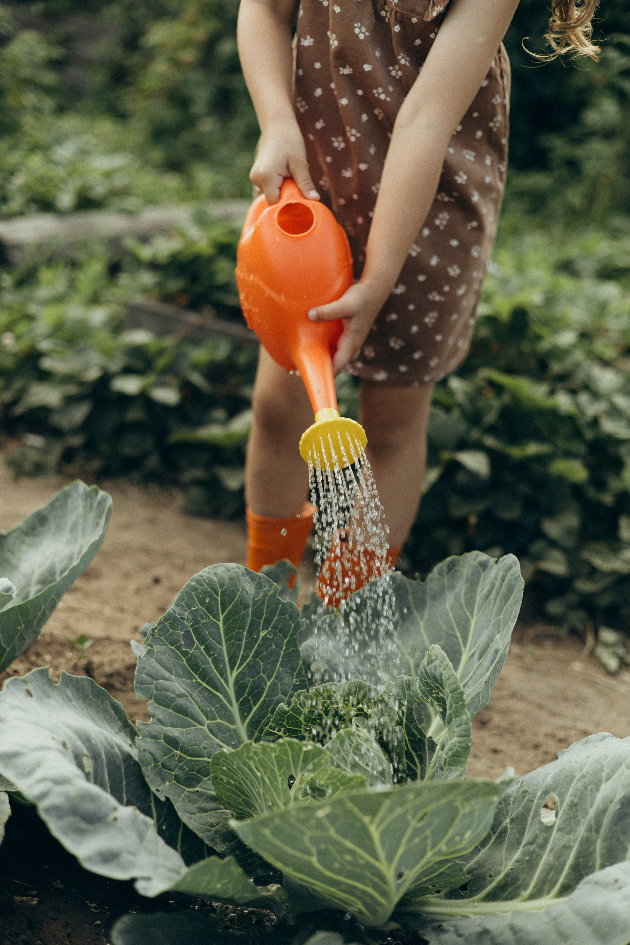 Хорошо в деревне летом…♡. Фотограф в г. Чита