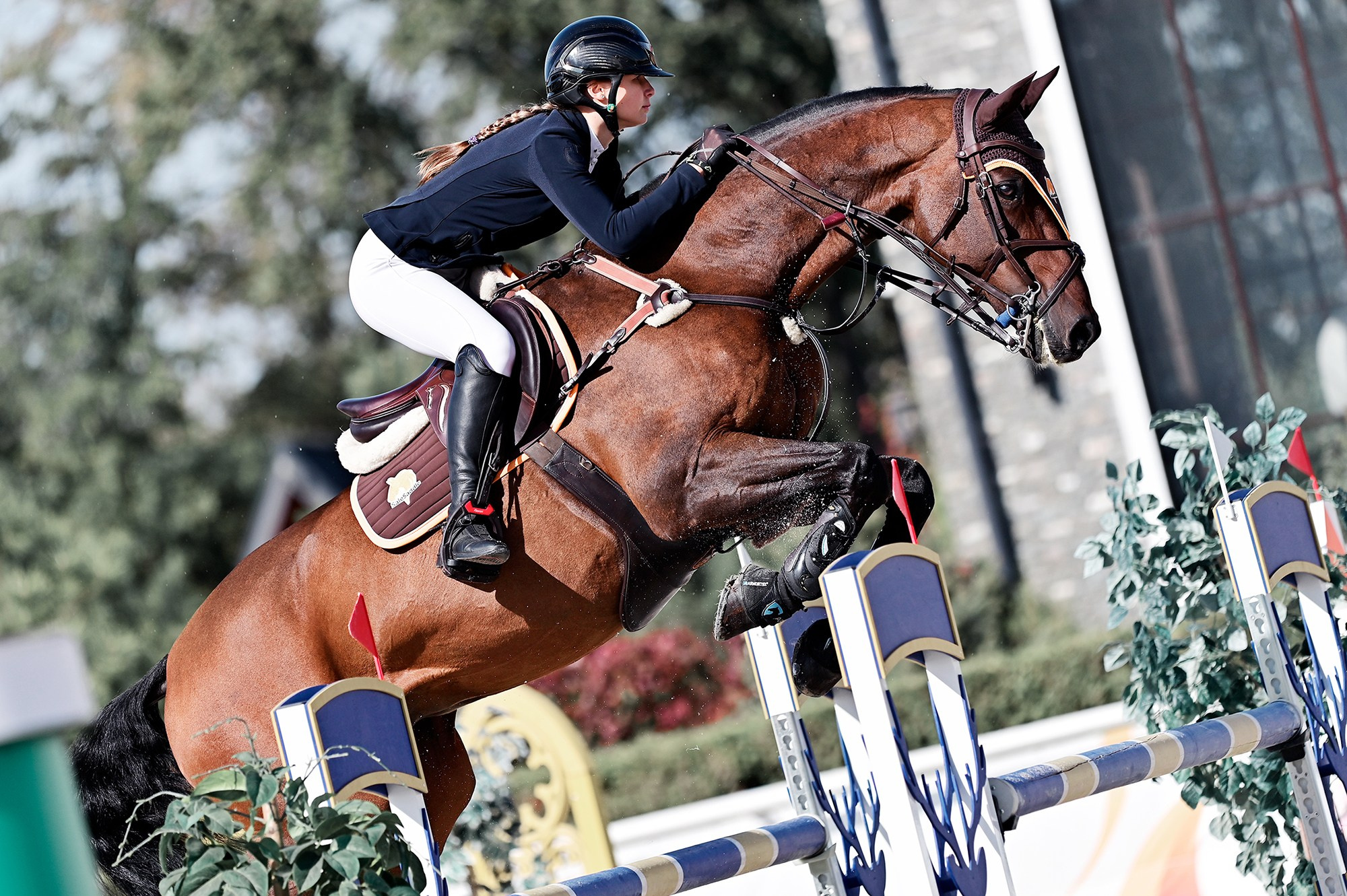 Голден. Конный фотограф Alesya Safe