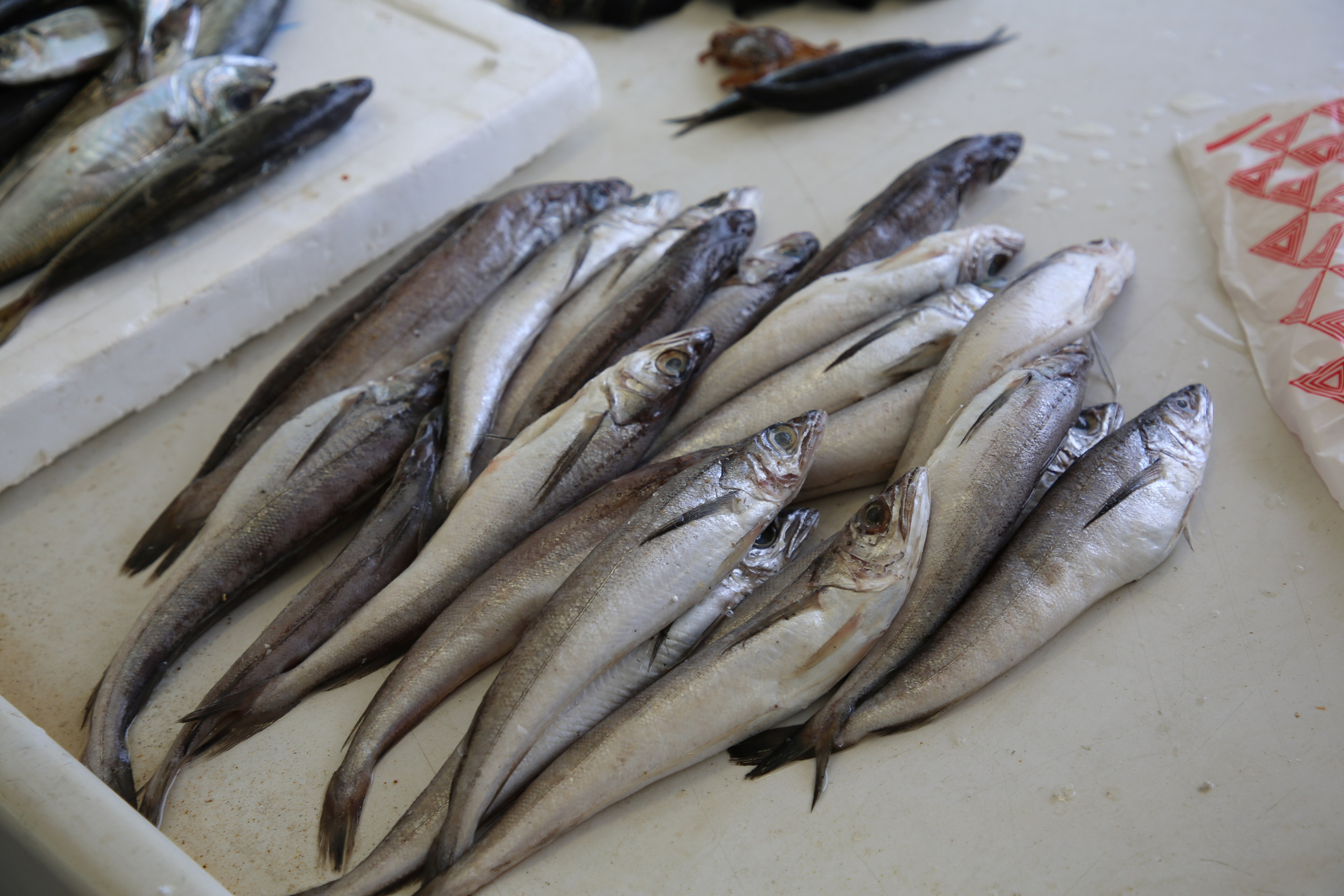 Espihnio, Portugal. Andrey Filippov Photographer