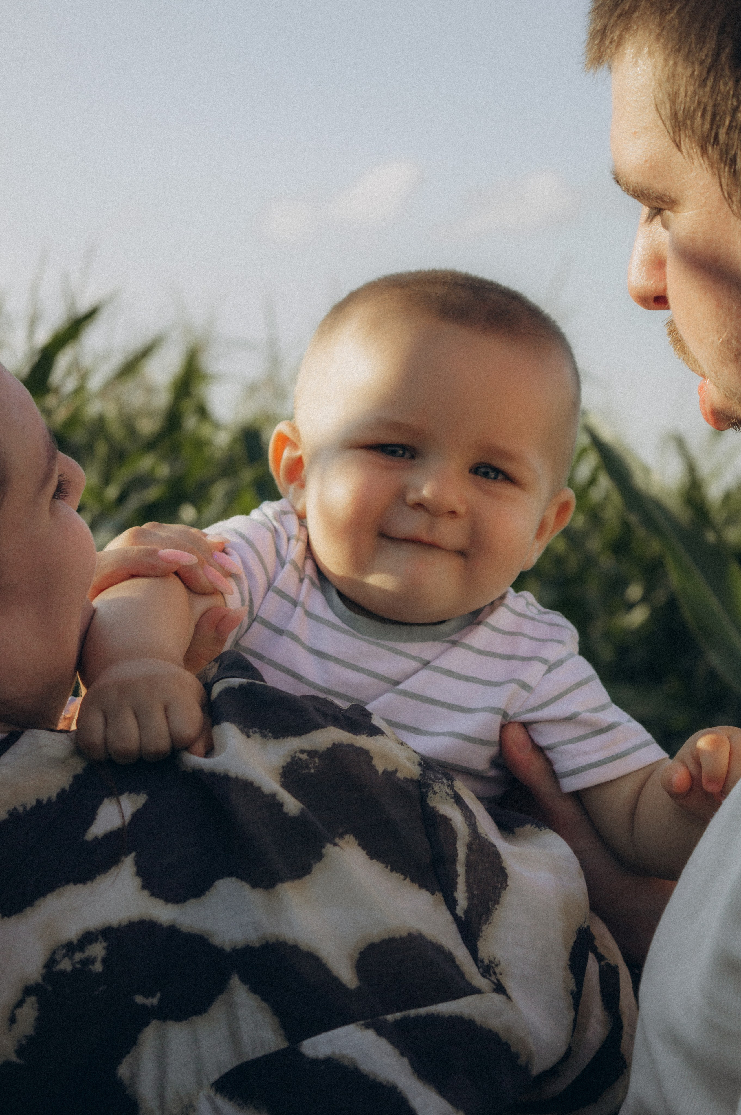 Лето, семья, кукуруза. Семейная летняя фотосессия. Юлия Левада Семейный и женский фотограф