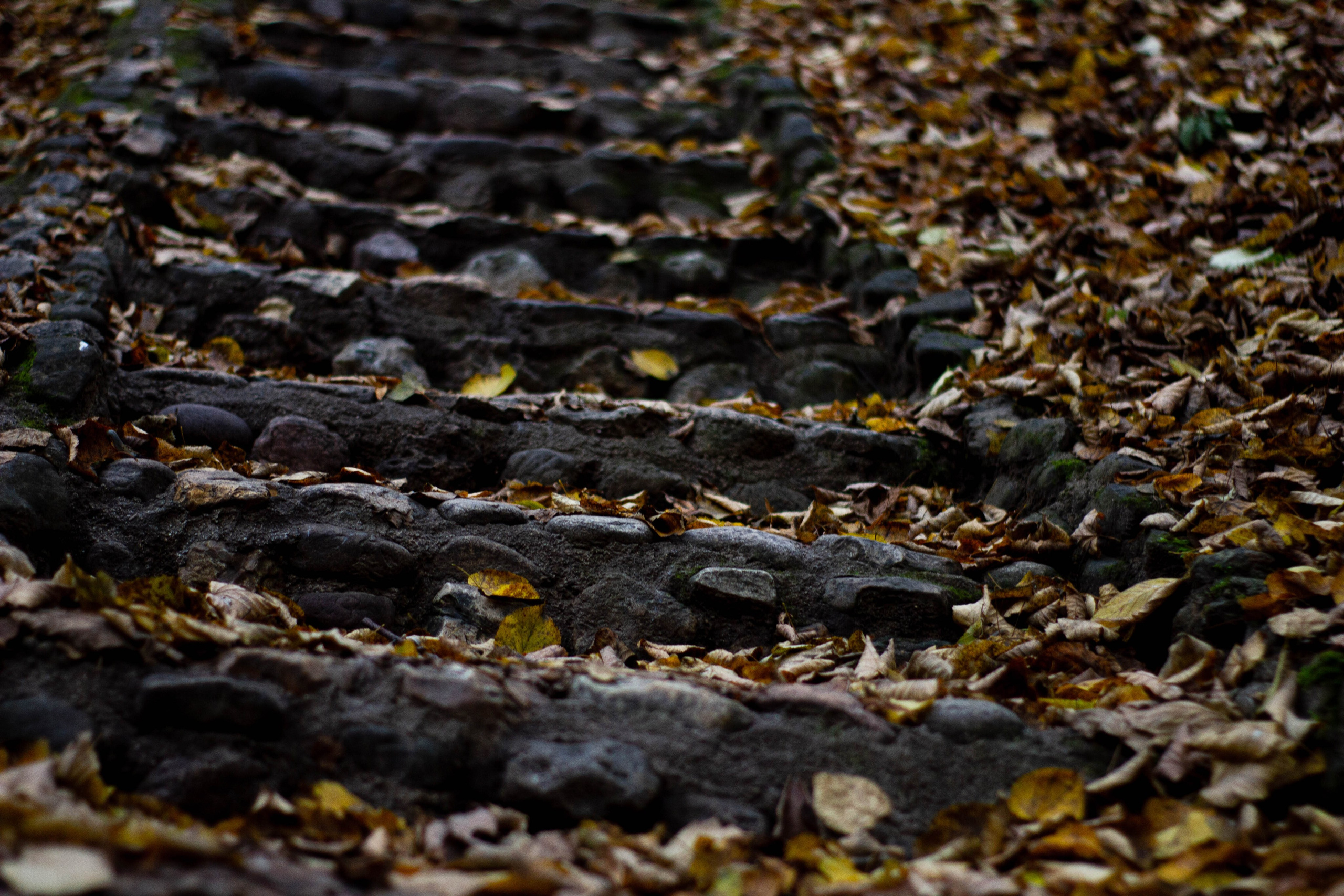 Вокруг. Фотограф Сергей Яркин