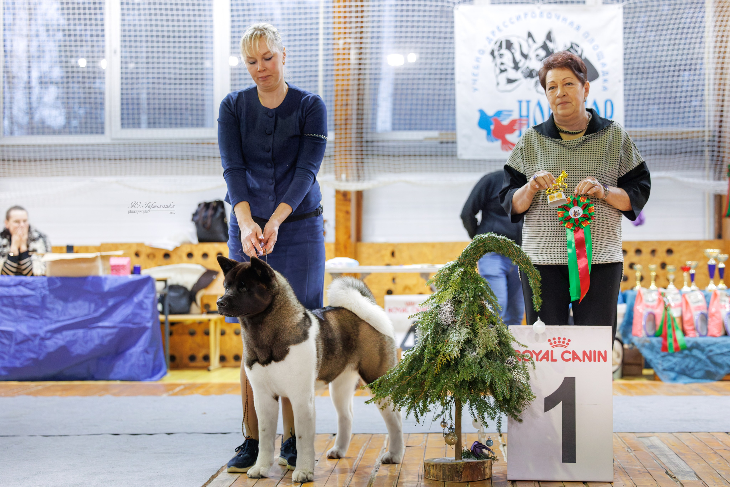 Тверь 21.12.2025. Фотограф-анималист Юлия Германика