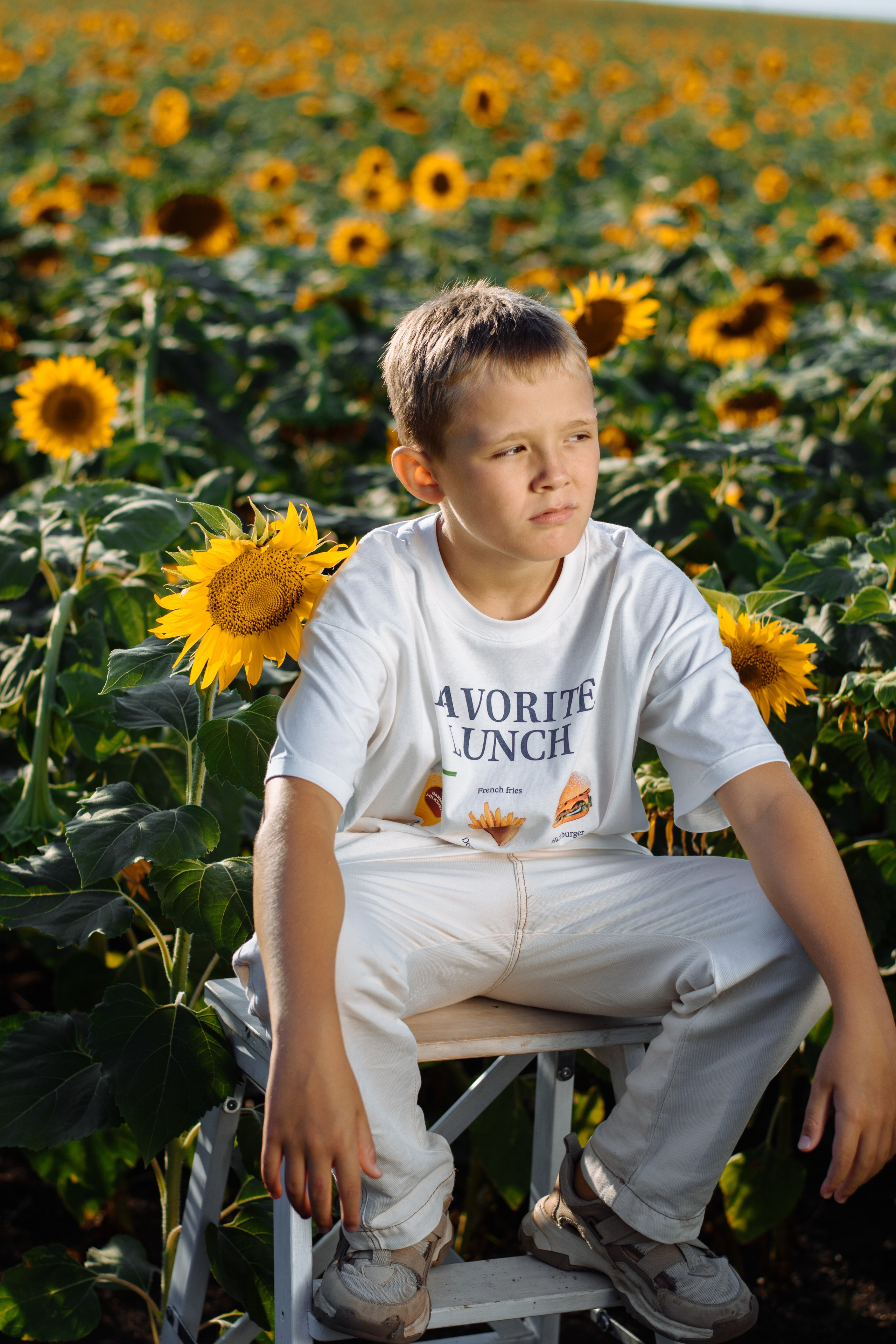 Подсолнухи. Репортажный и портретный фотограф Анапа Екатерина Волкова