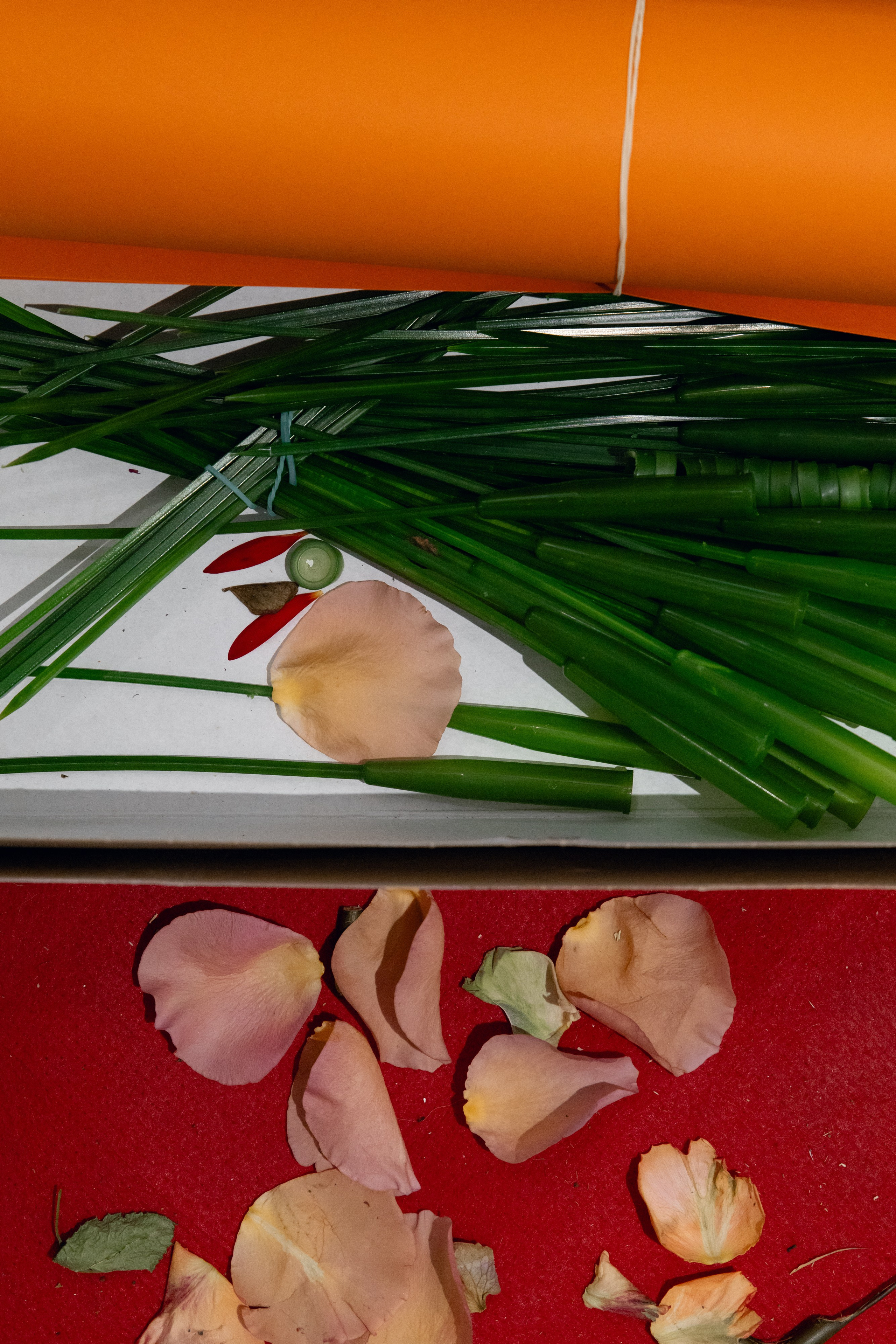 @fruits_family_wedding. Свадебный и репортажный фотограф в Москве Владимир Сергеев | Naysaikolo