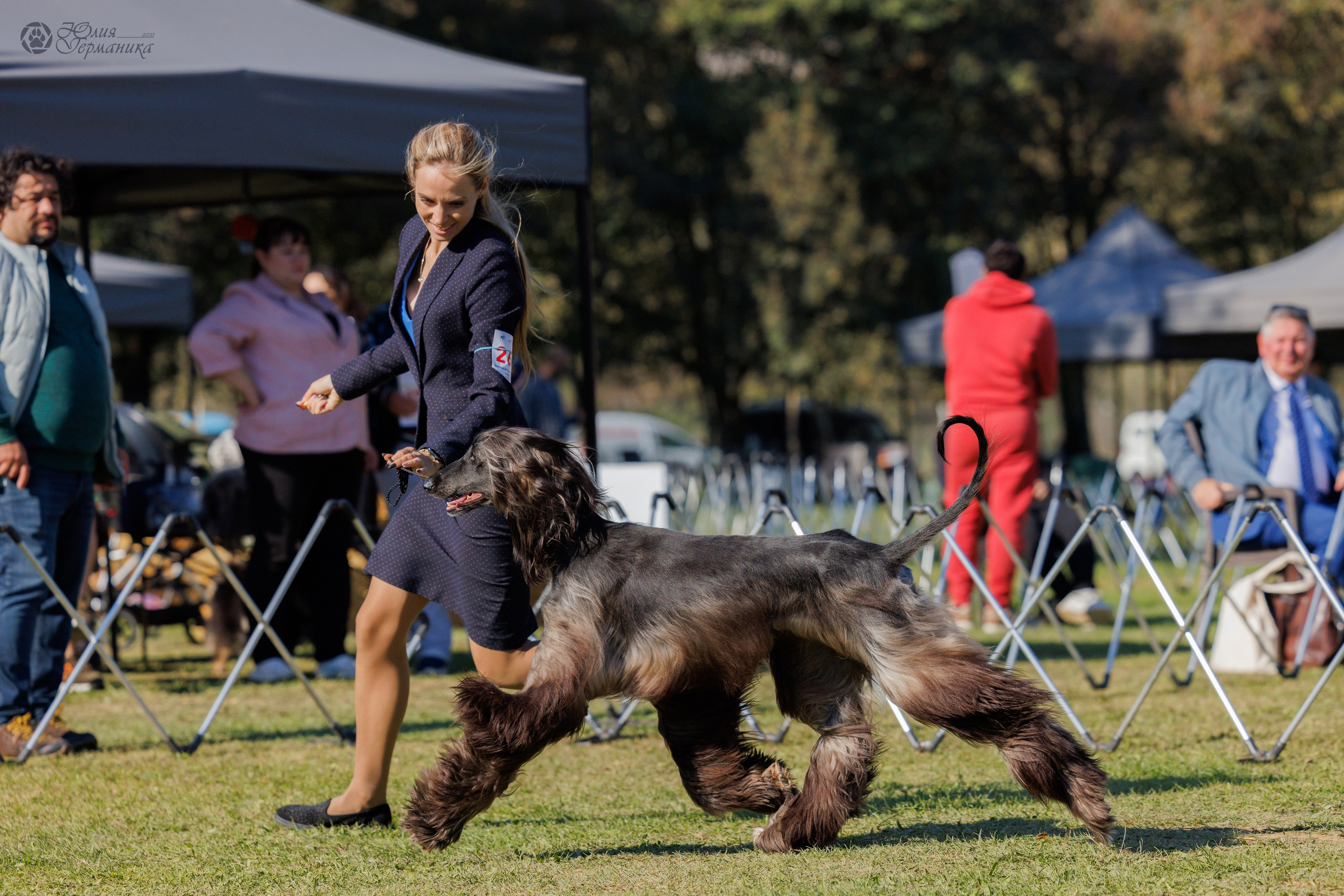 Туция,Стамбул 2хCACIB 26-27.10.24. Фотограф-анималист Юлия Германика