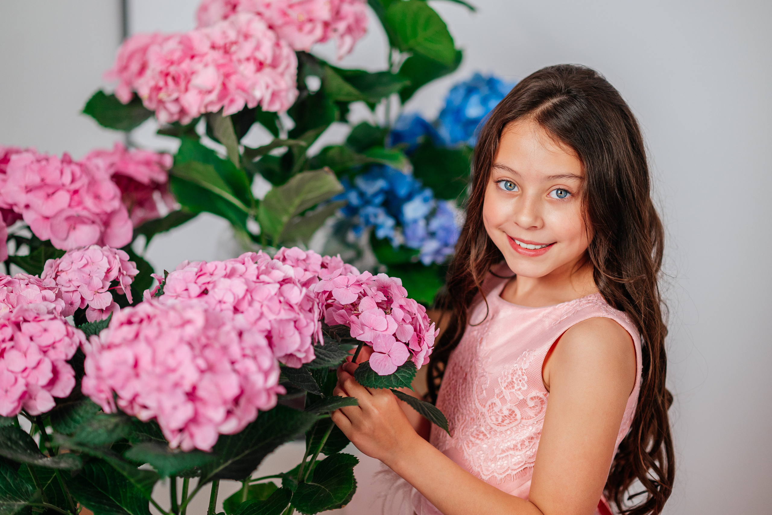 Вероника и гортензии. Семейный фотограф в Краснодаре