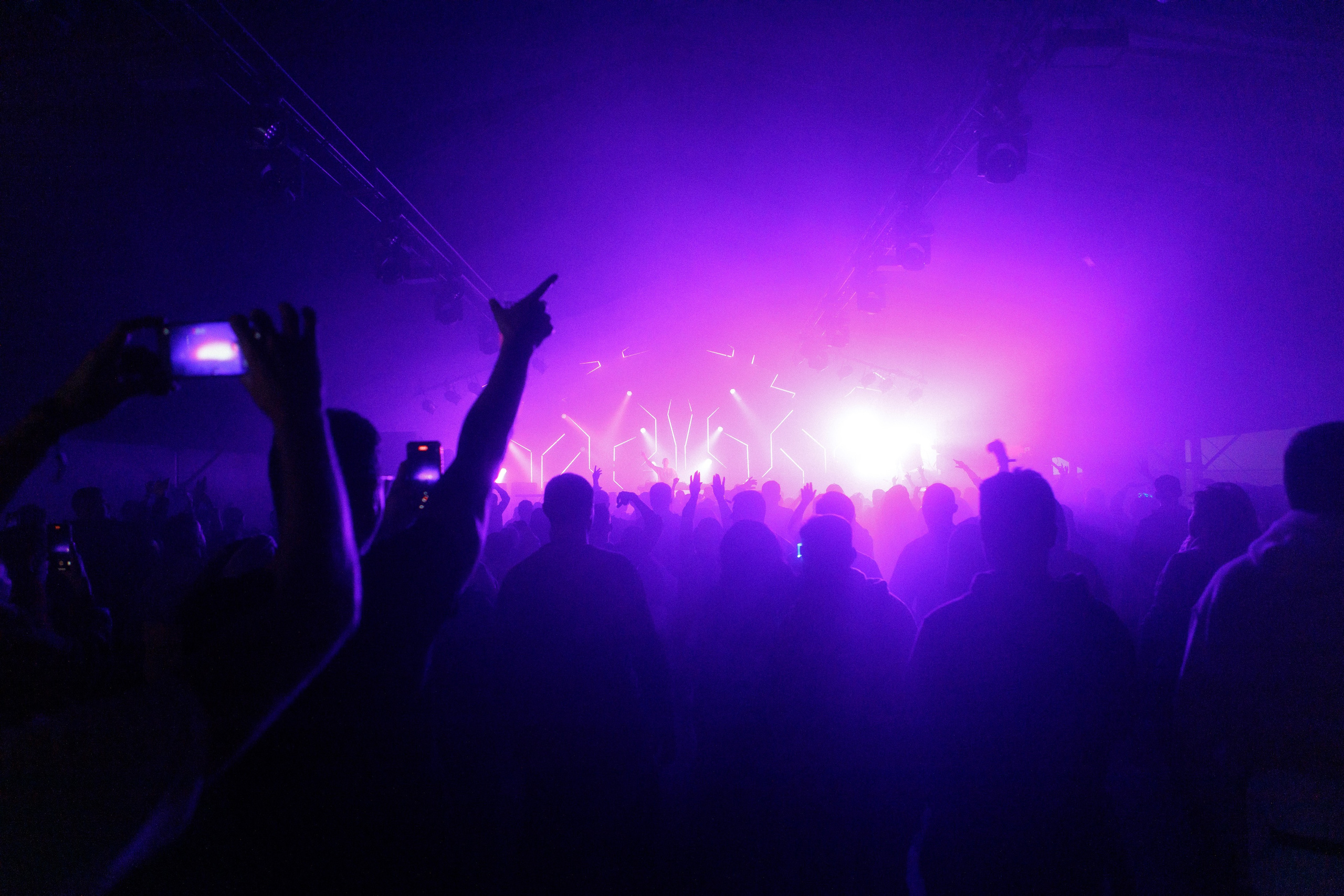 Wild Mint Violet Festival 2022. Commercial photographer | Anton Ermakov