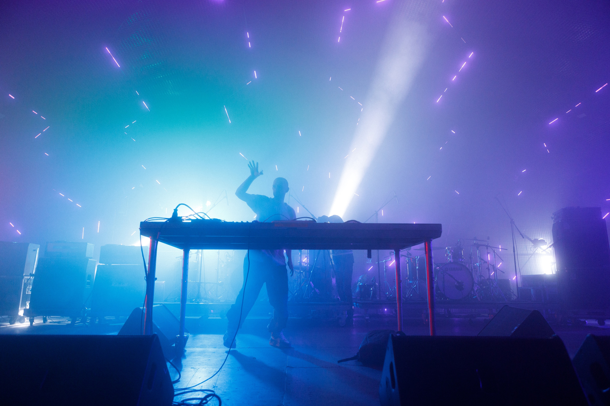 Wild Mint Violet Festival 2022. Commercial photographer | Anton Ermakov