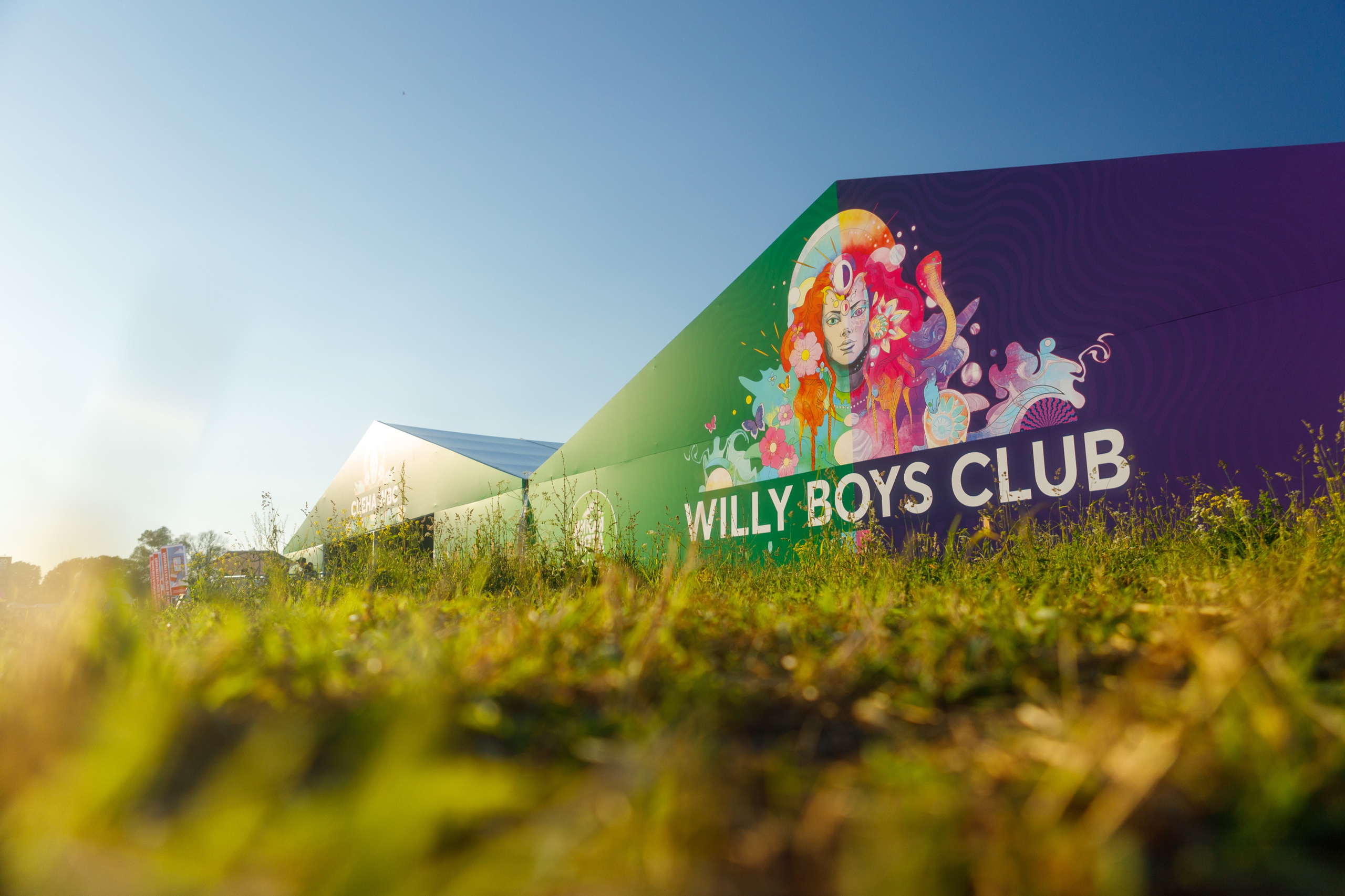 Wild Mint Violet Festival 2022. Commercial photographer | Anton Ermakov