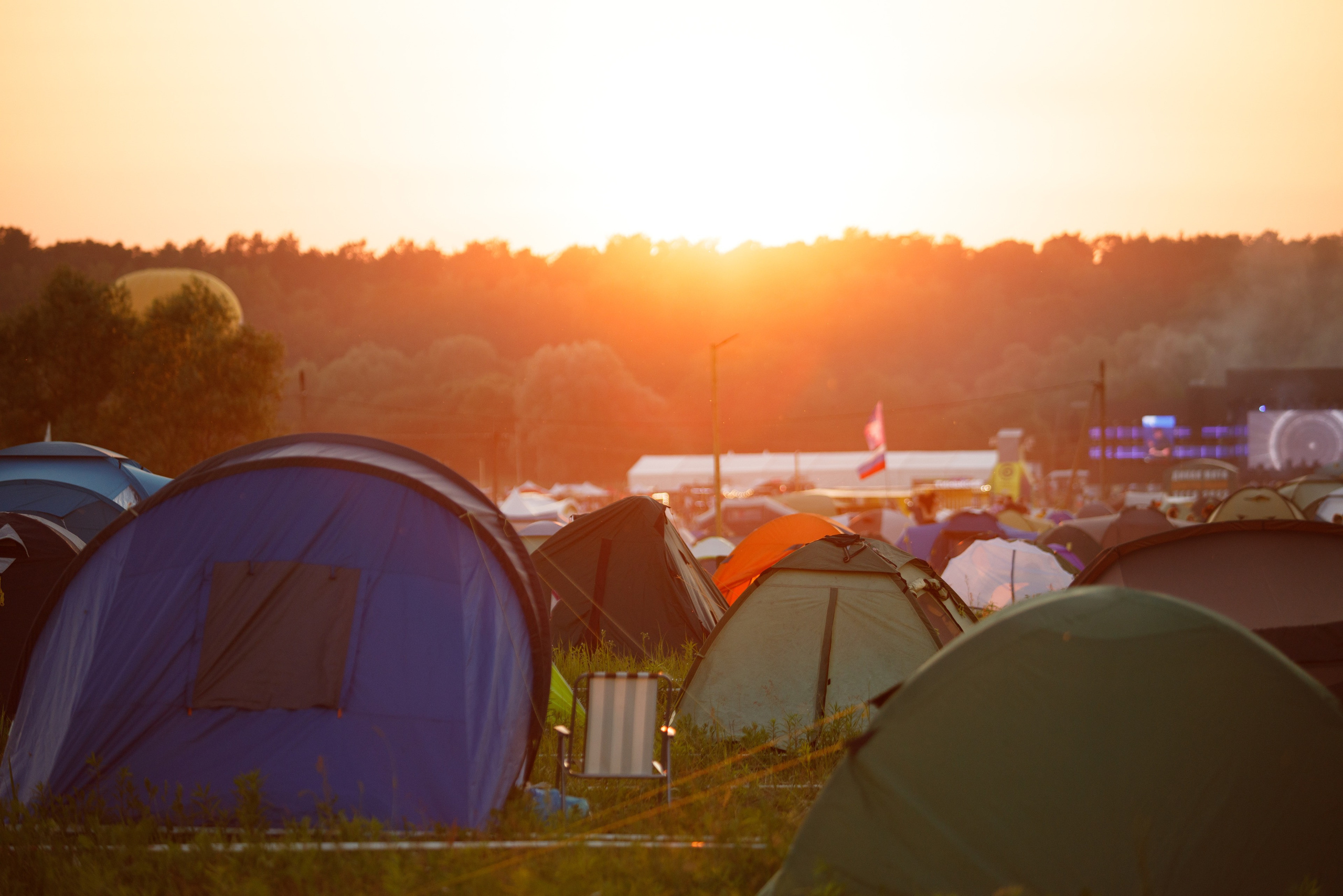 Wild Mint Violet Festival 2022. Commercial photographer | Anton Ermakov