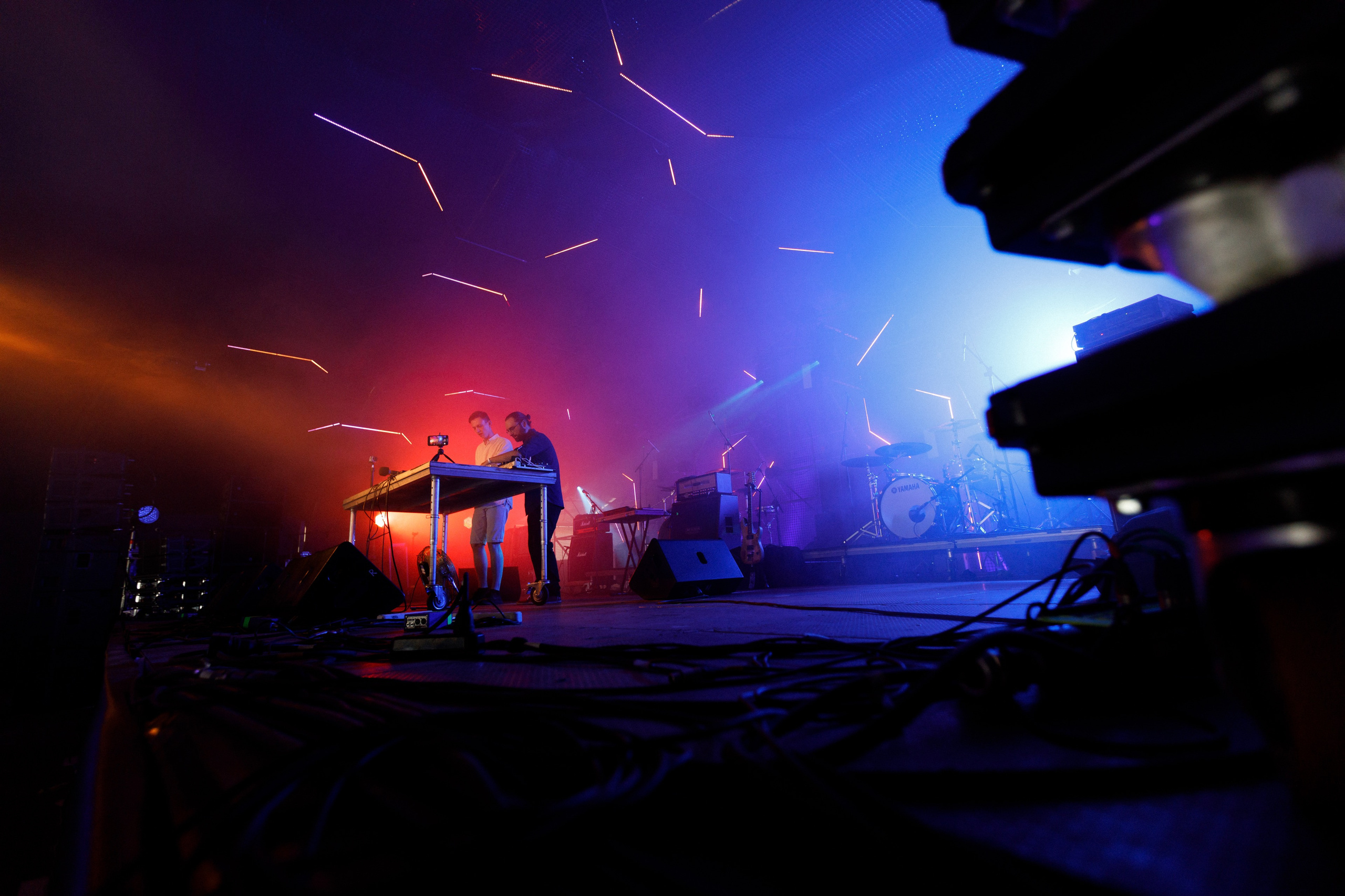 Wild Mint Violet Festival 2022. Commercial photographer | Anton Ermakov