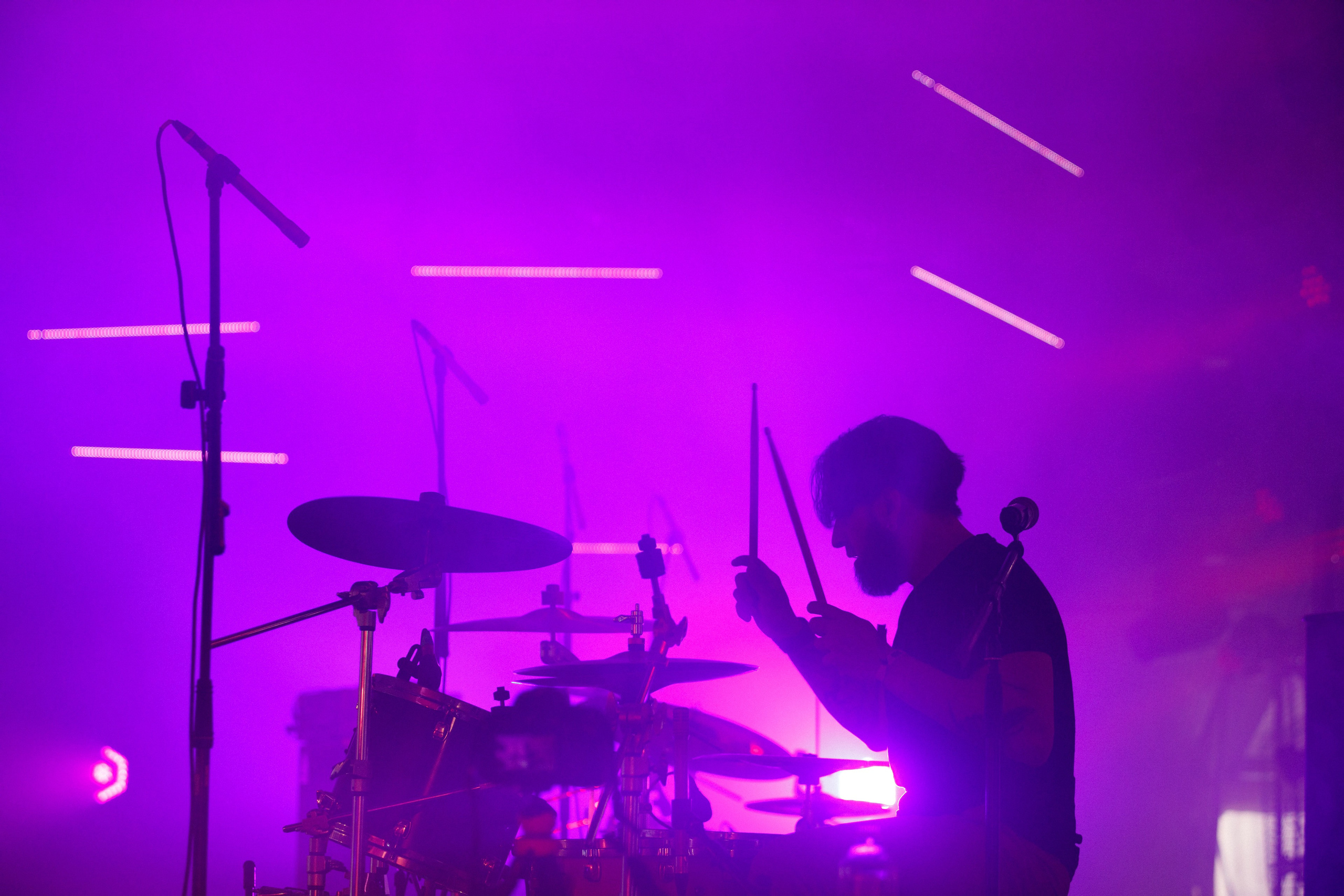 Wild Mint Violet Festival 2022. Commercial photographer | Anton Ermakov