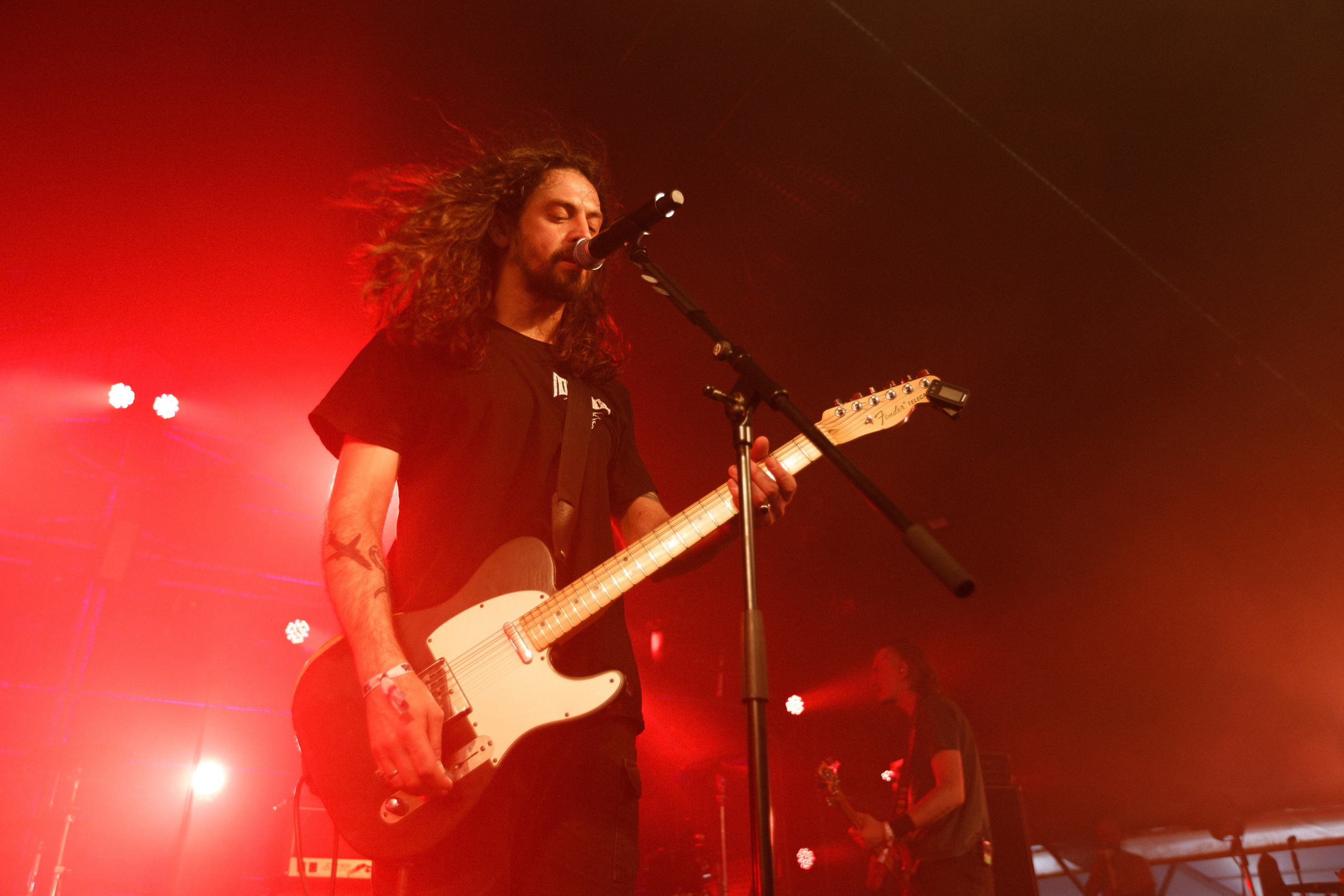 Wild Mint Violet Festival 2022. Commercial photographer | Anton Ermakov