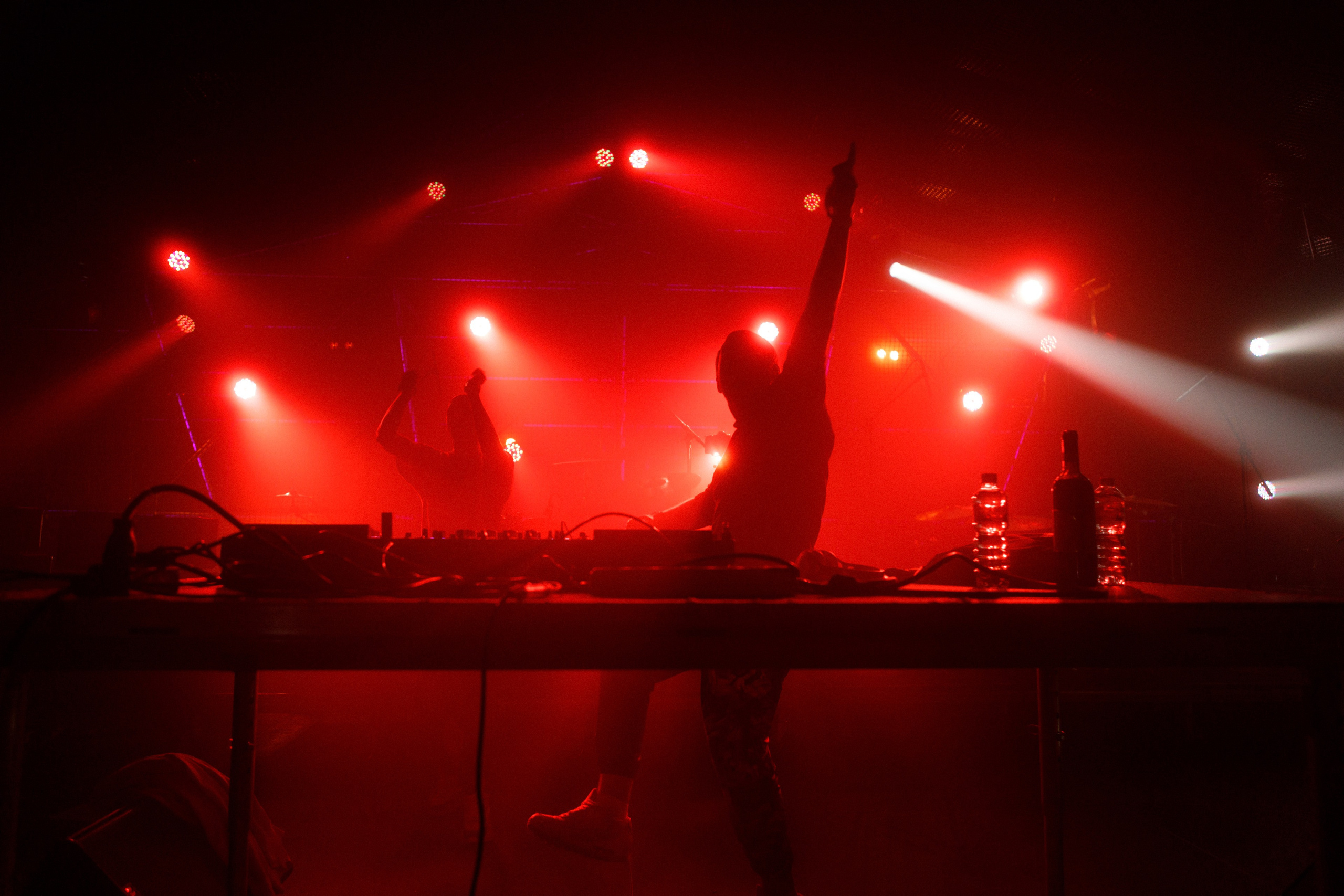 Wild Mint Violet Festival 2022. Commercial photographer | Anton Ermakov