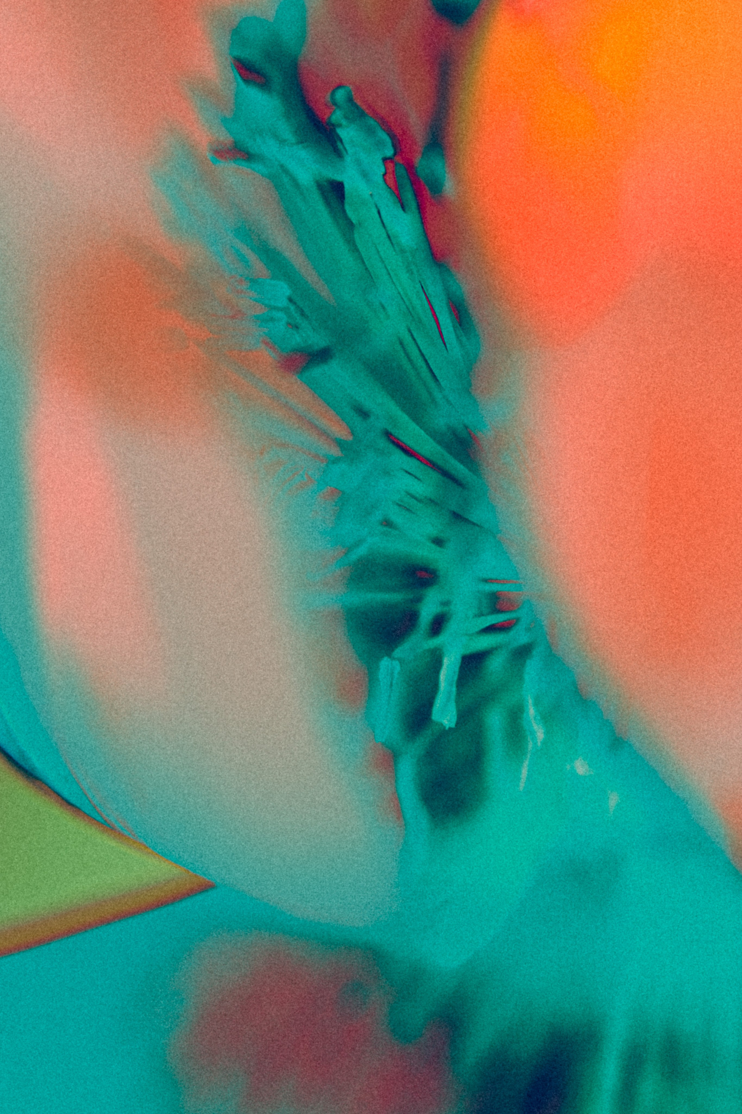 NON-EXISTENT FLOWERS. Фотограф Евгений Чащихин RGB АРХИТЕКТОР в Перми