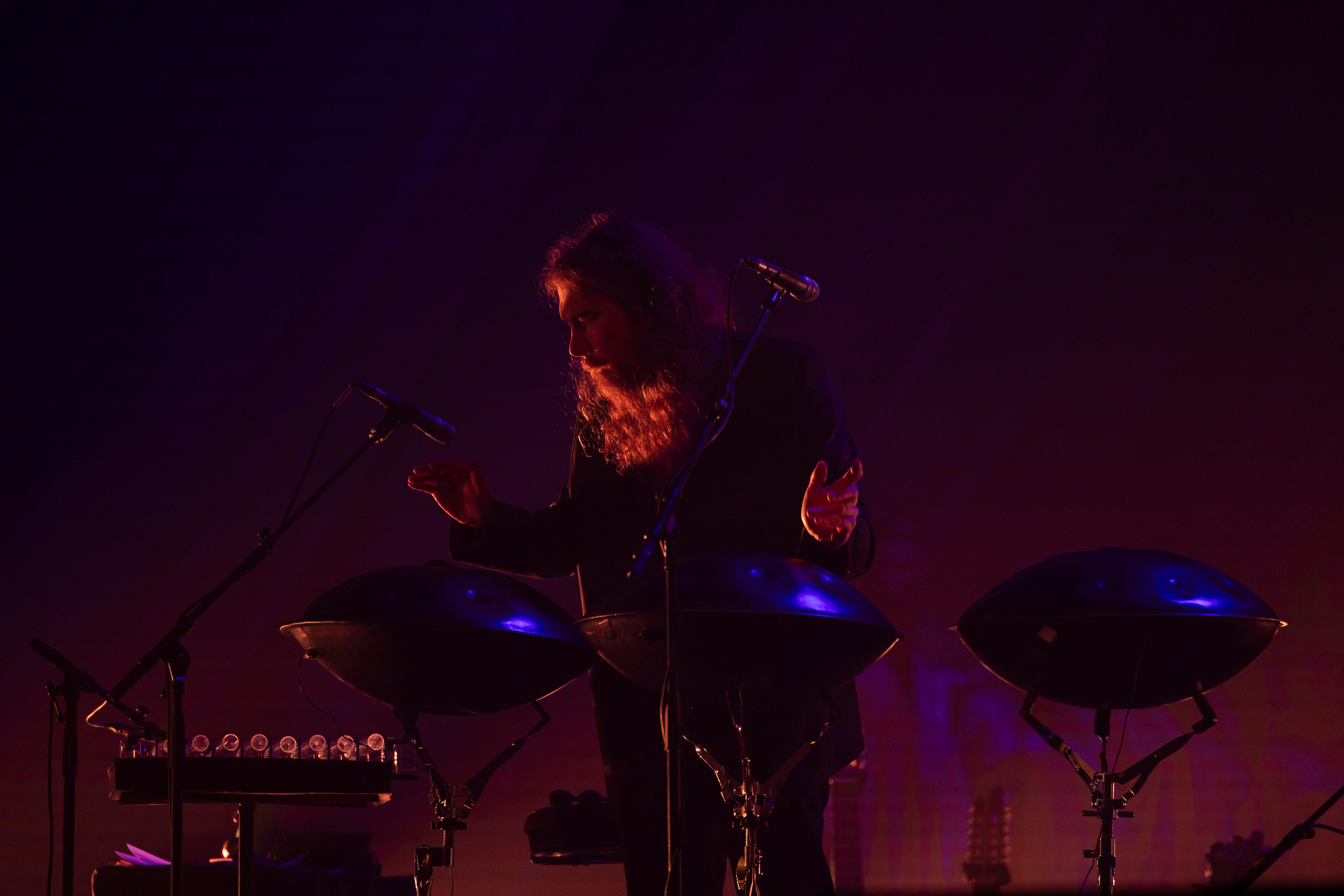 SATI ETHNICA, Crocus City Hall. «Птичка на проводе»: информационный портал в Москве