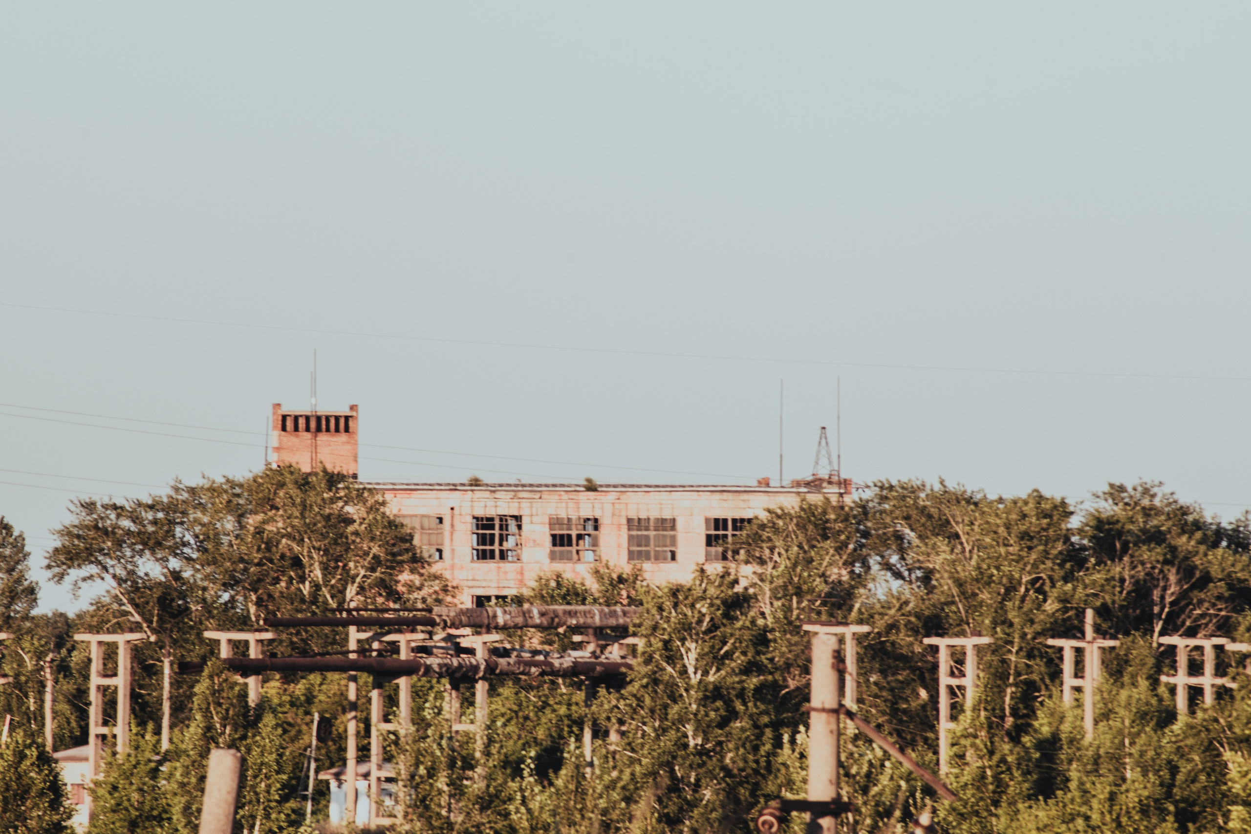 Tender Colors of a Heavy City. Whoii art