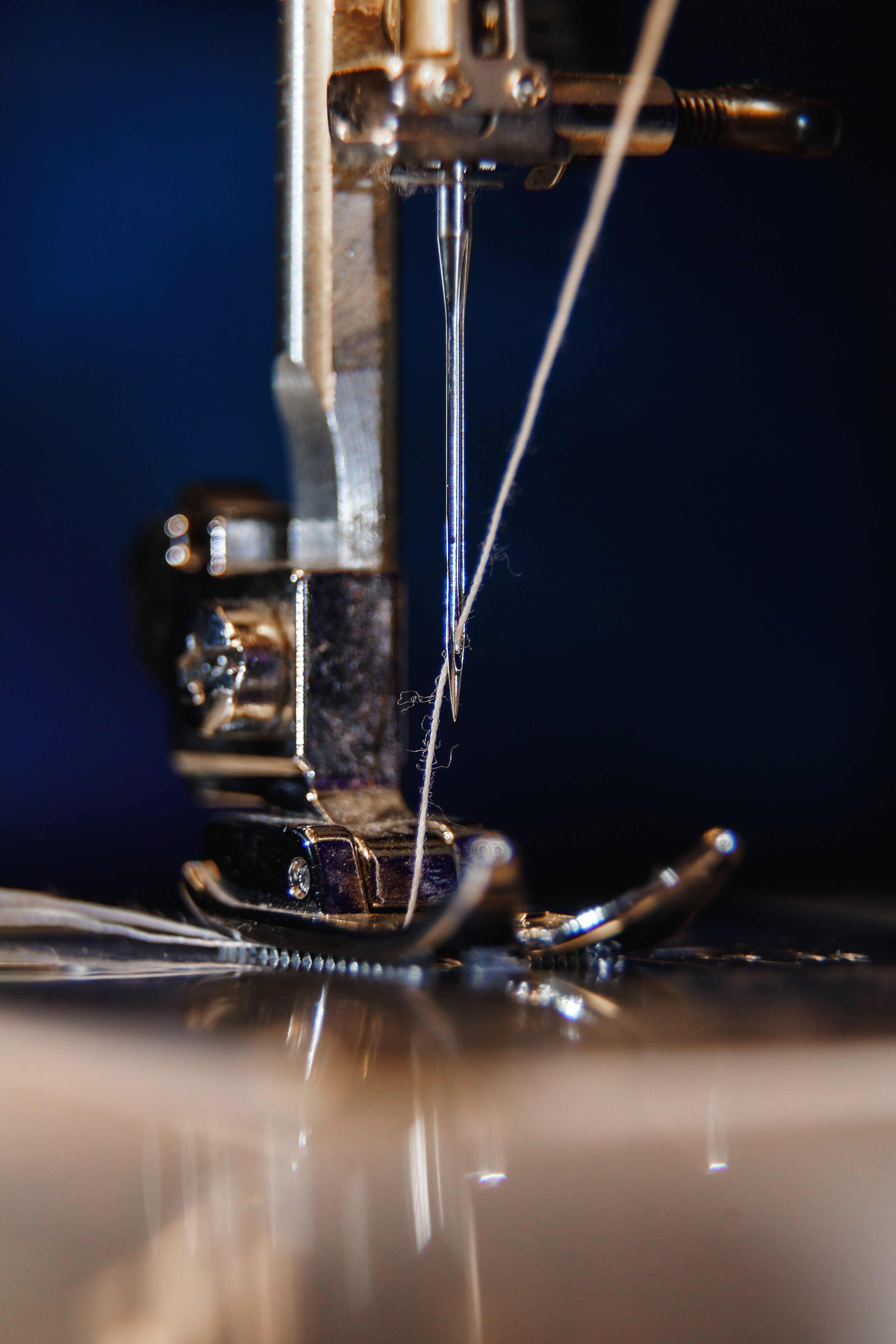 Проект «366»|2024|Фото каждый день. LENA GRACE photographer ||ЛЕНА ГРЭЙС фотограф