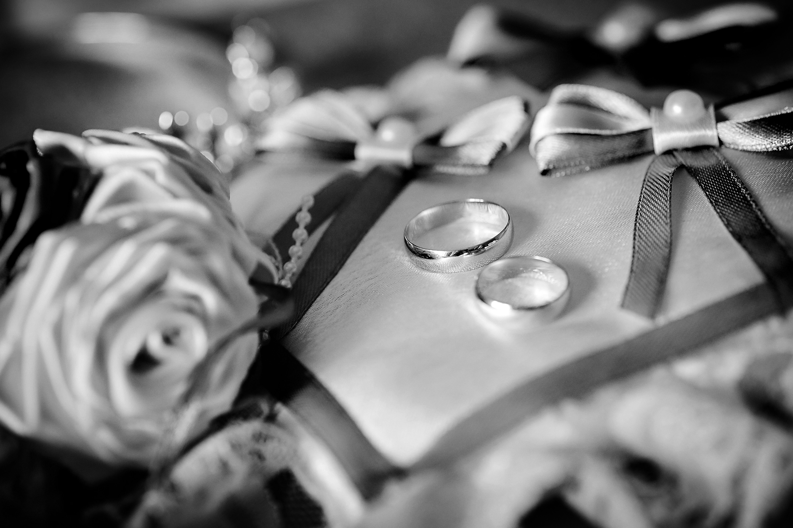 Анастасия и Руслан. Семейный портретный свадебный фотограф Дмитрий Тимченко. Студия / фото