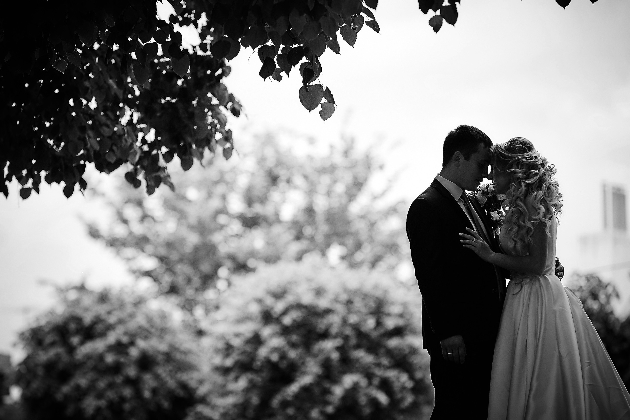 Анастасия и Руслан. Семейный портретный свадебный фотограф Дмитрий Тимченко. Студия / фото