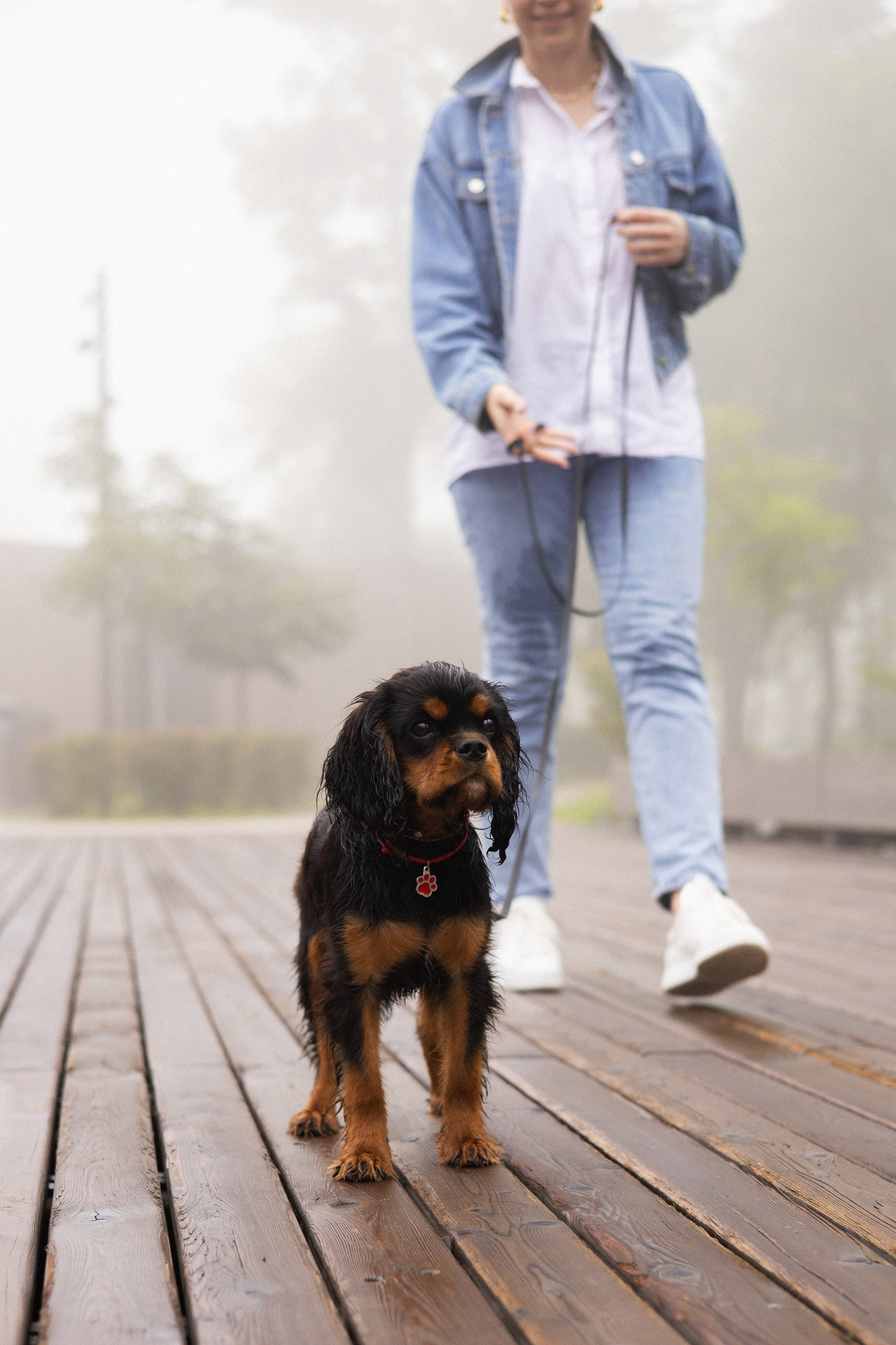 Алёна и Каспер. Фотограф — анималист Владивосток, Алина