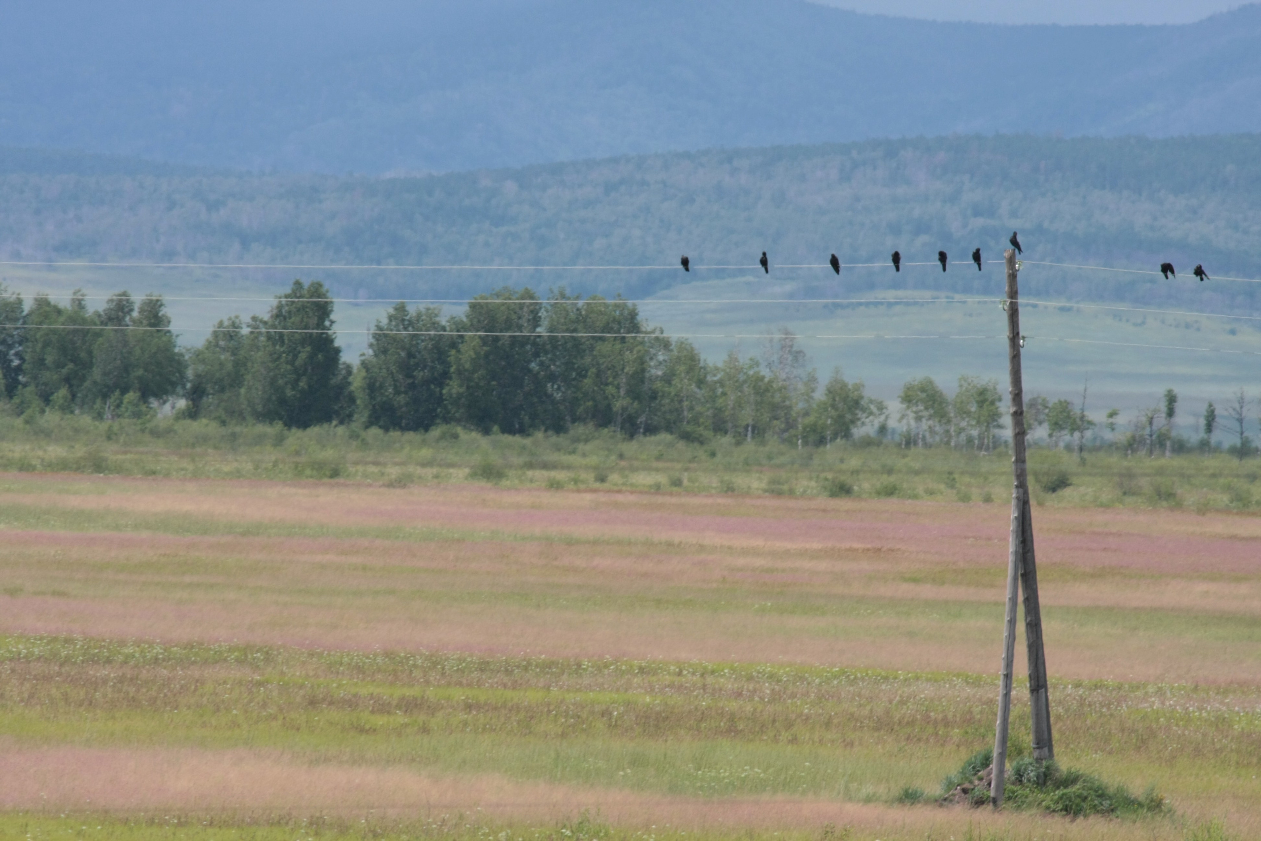 Фото Природы Забайкалья. Студия Максима Белослюдцева
