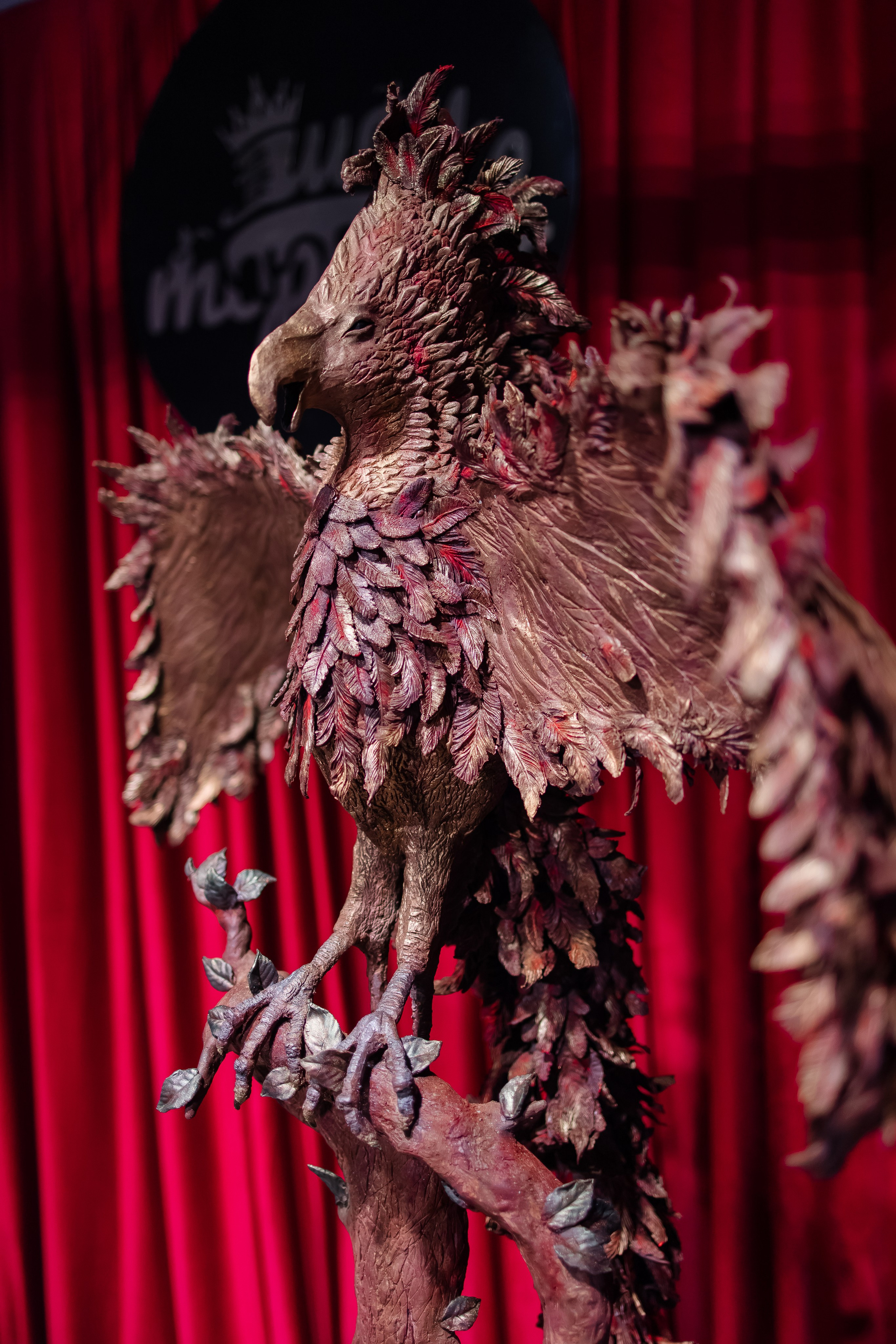 Шоу тортов. Свадебный фотограф