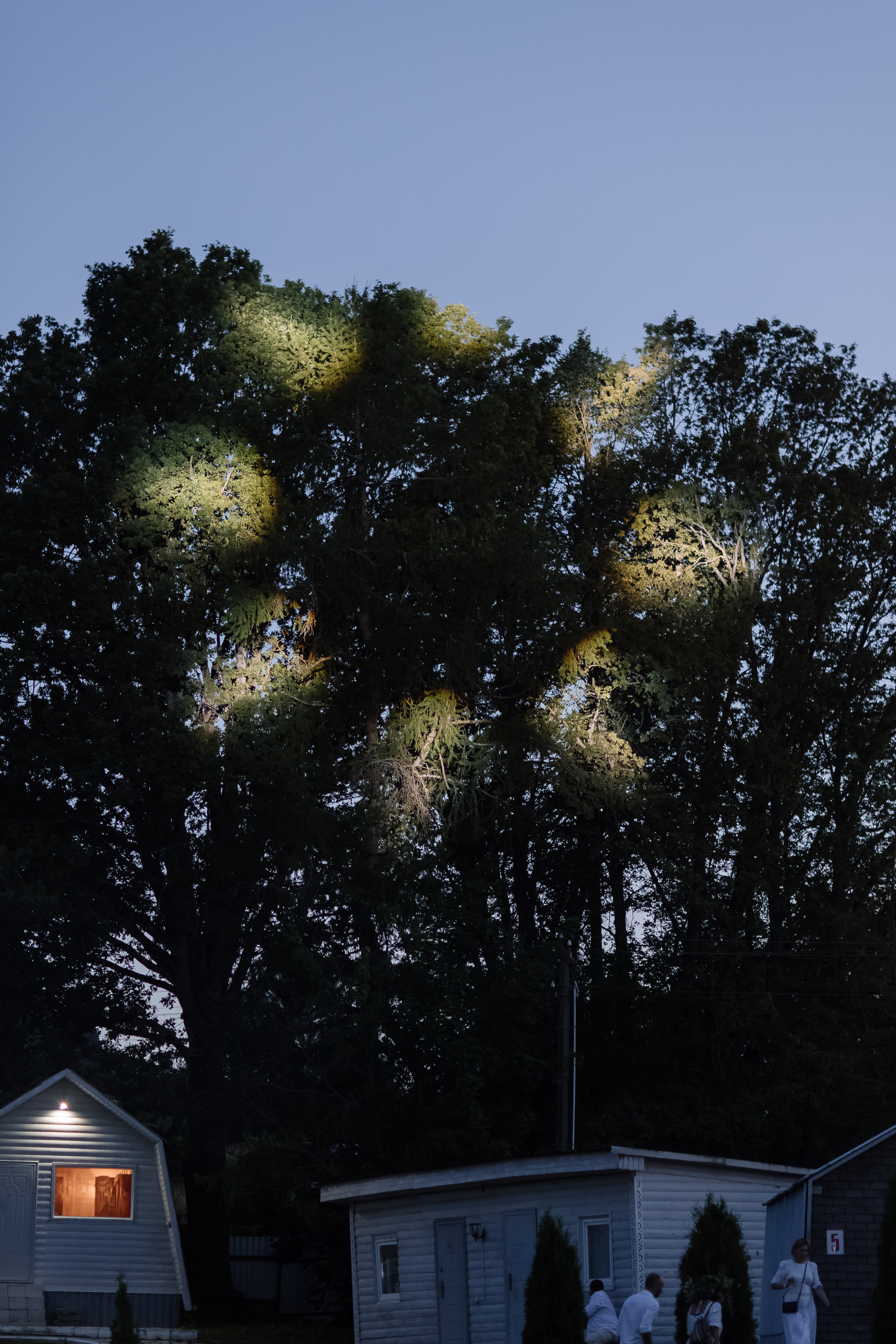 Купалле. Свадебный фотограф