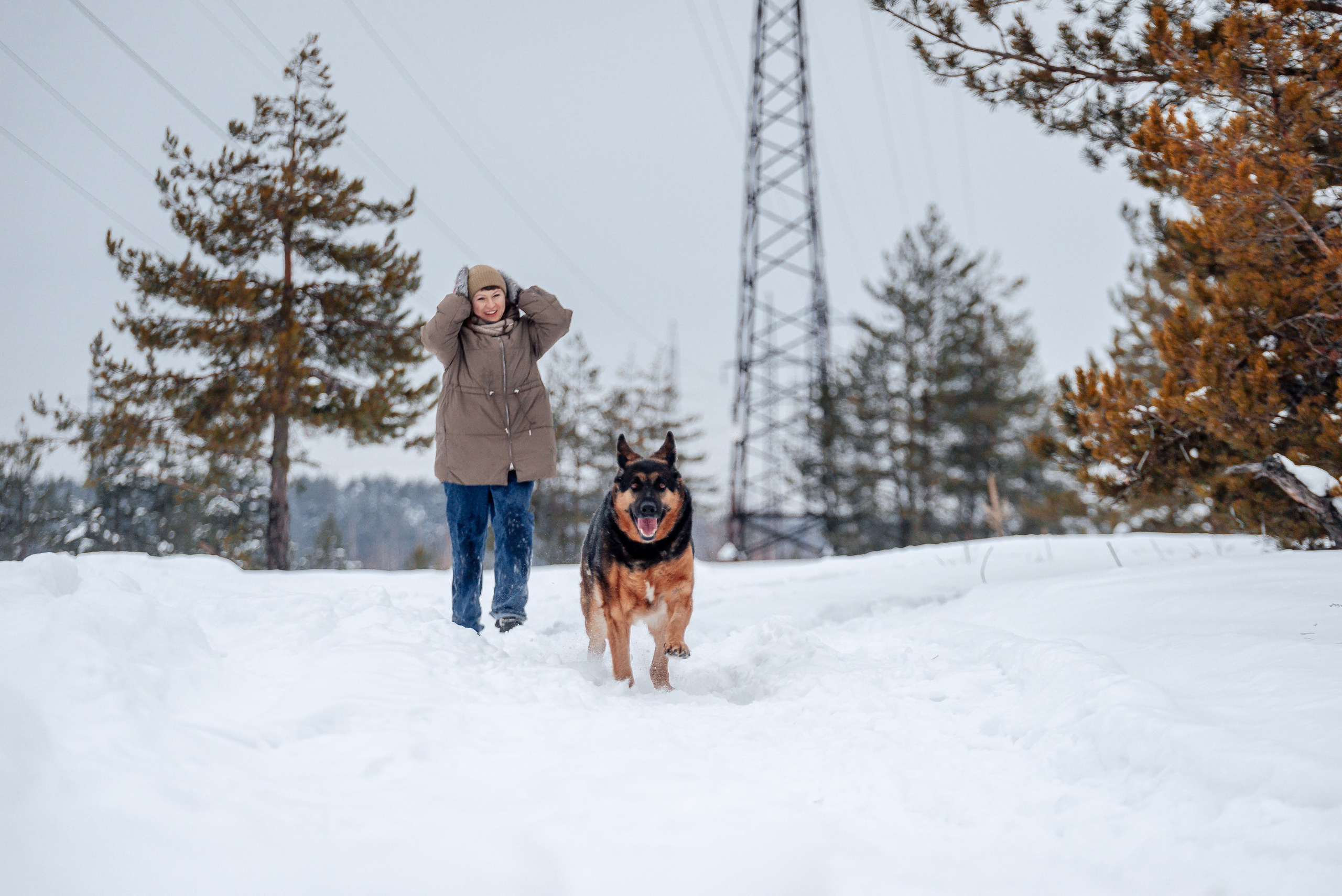 Светлана, Альфа и кошки ✨. Фотограф-анималист Анастасия Парфенова|Екатеринбург