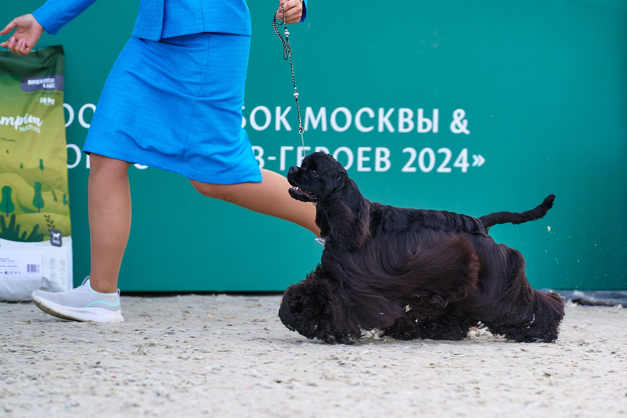 09.06.2024, «РОССИЯ. КУБОК МОСКВЫ 2024 & КУБОК ГОРОДОВ-ГЕРОЕВ»