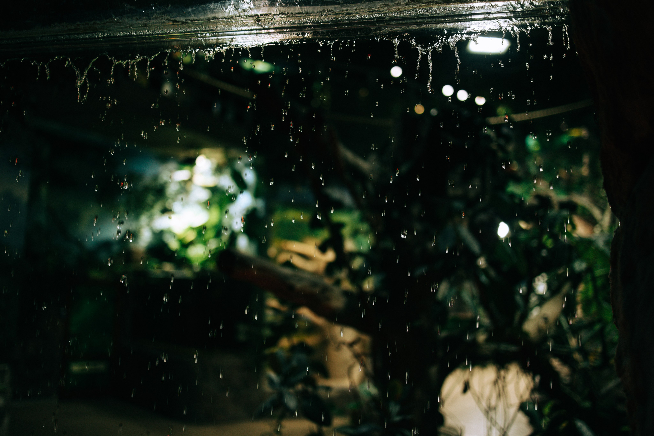 Осень, парк, экзотариум. Свадебный и семейный фотограф в Туле и области Маша Костина