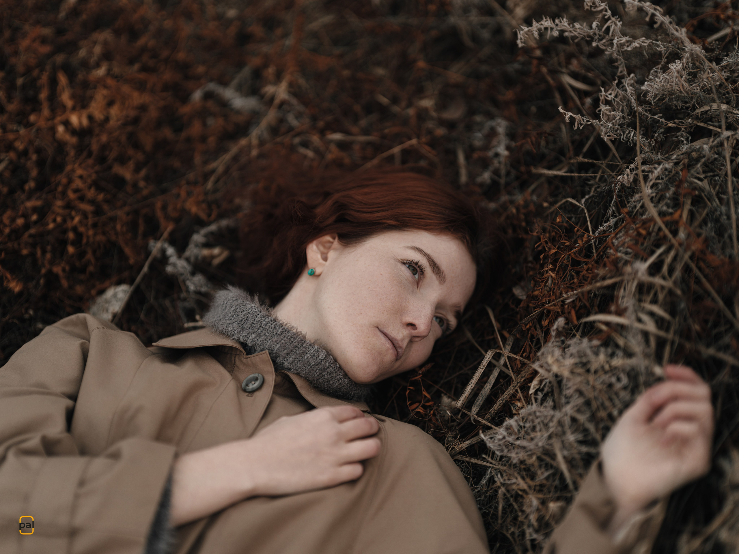 Цифровые снимки. Фотограф Павел Корчагин