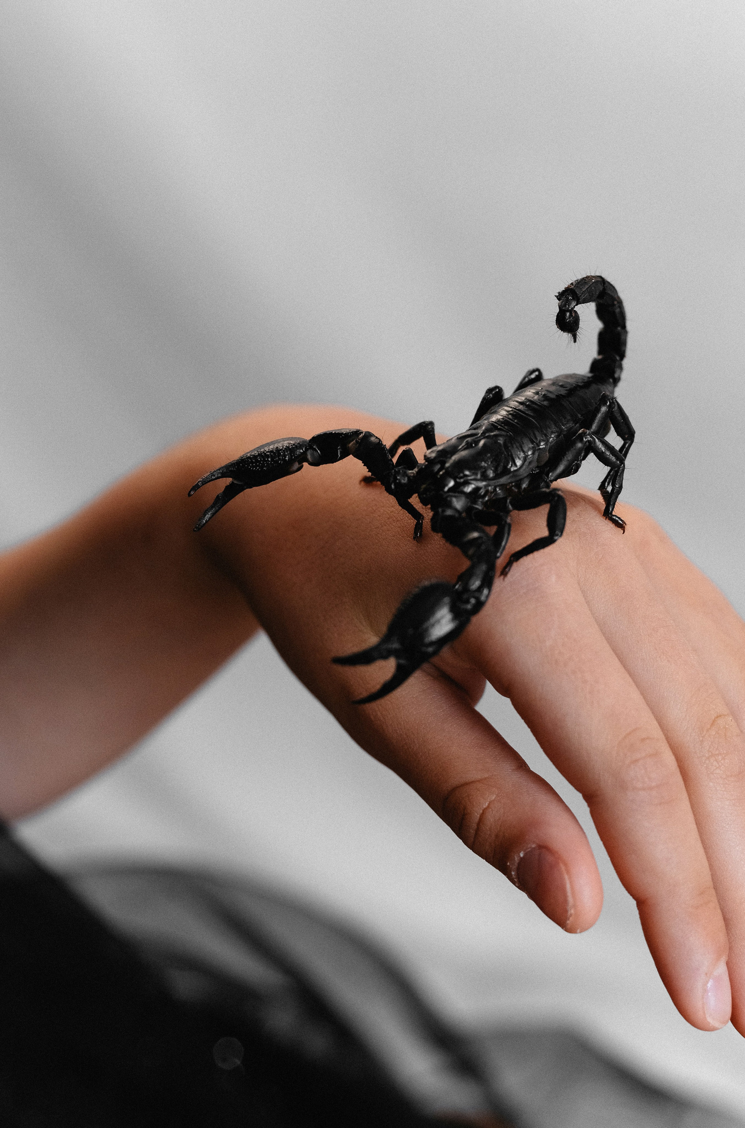 Алиса. Фотограф Шудра Яна