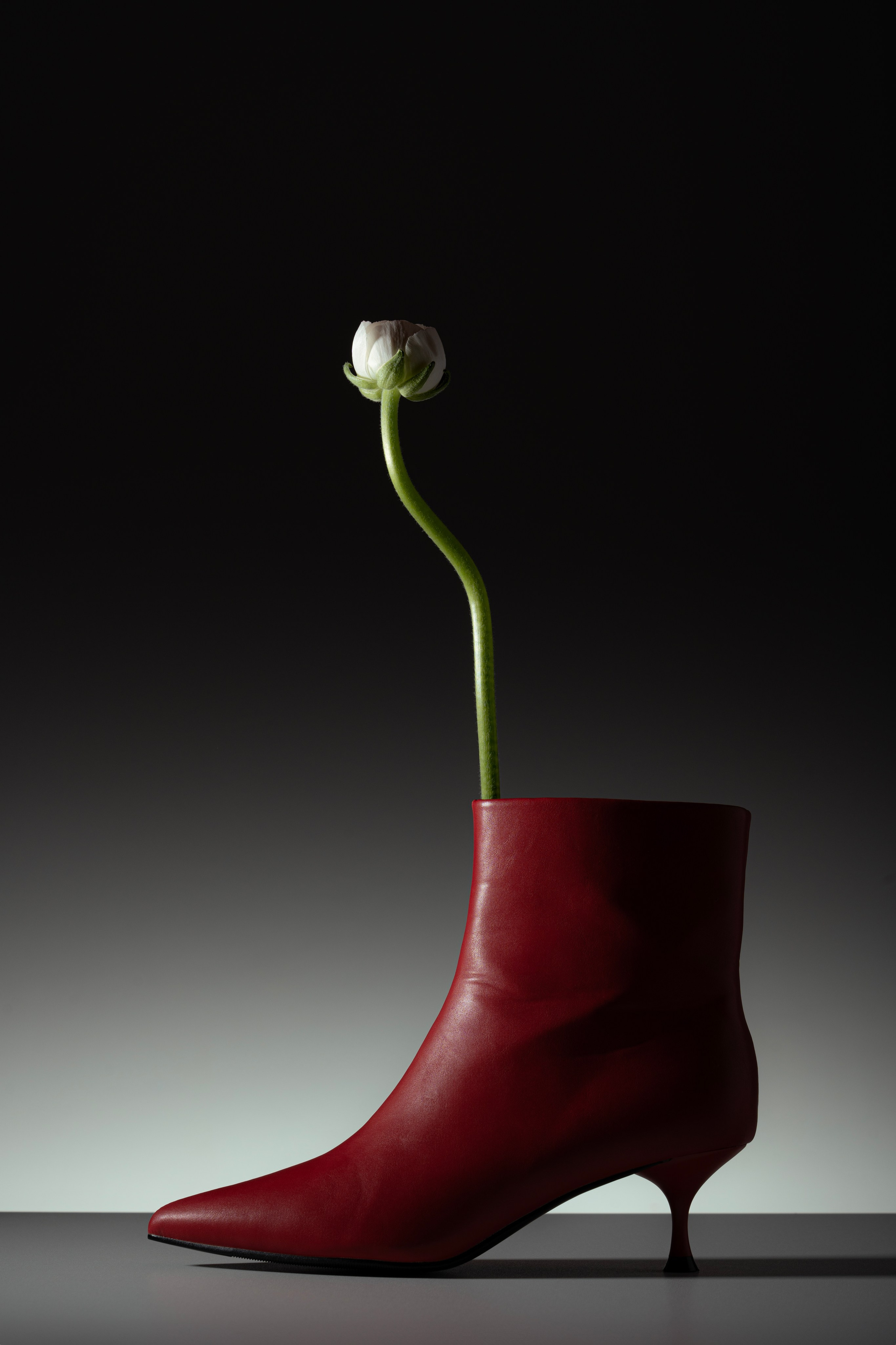 Обувь. Фотограф из Санкт-Петербурга