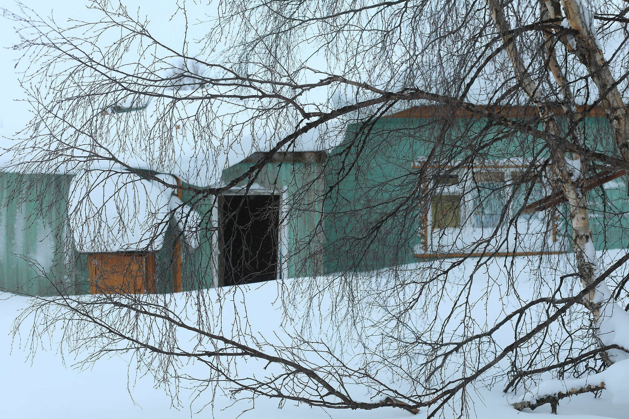 Кораль. На север к оленям. Репортажный фотограф в Сочи — Михаил Мордасов