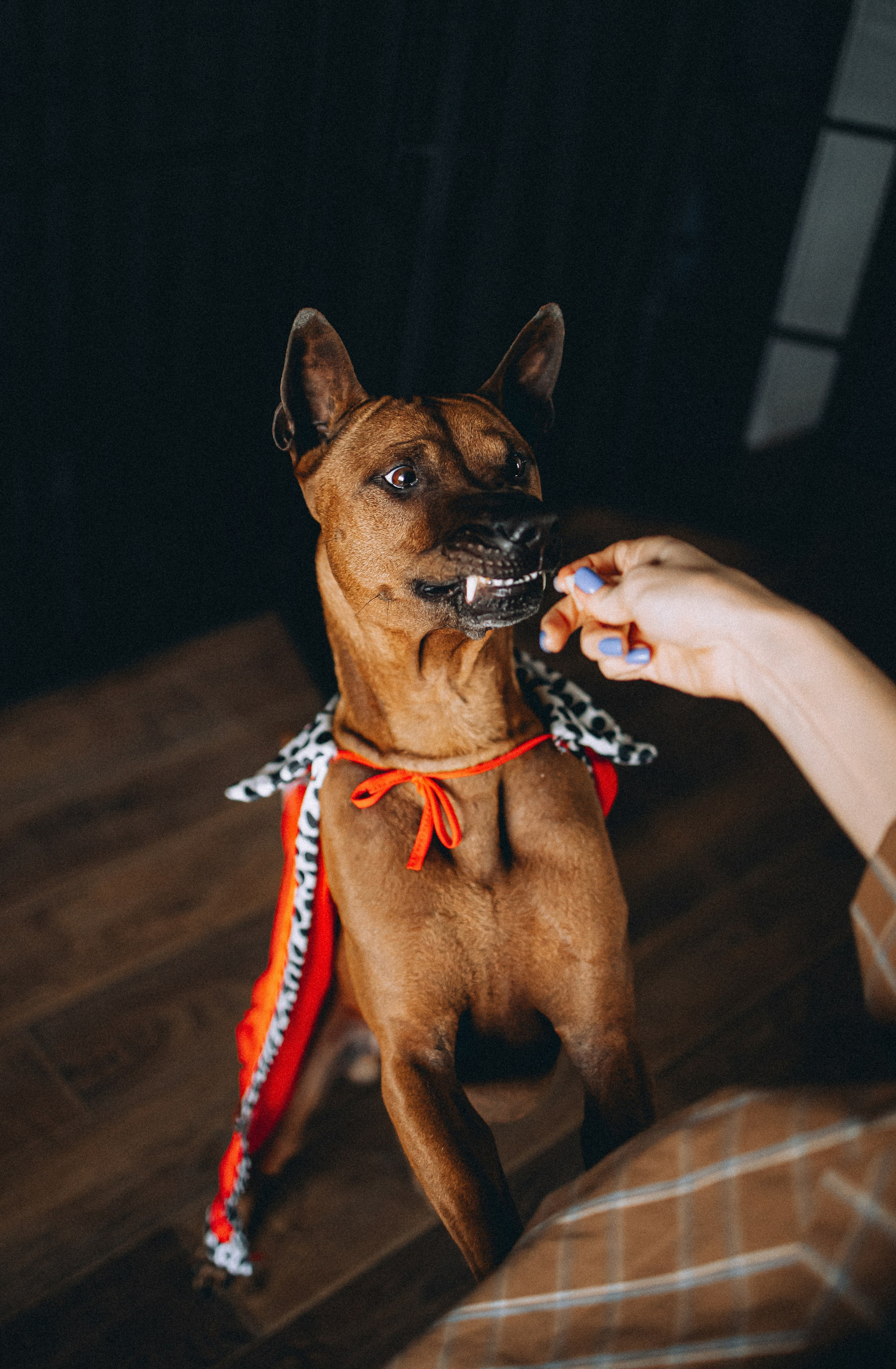 Оксана и Зевс