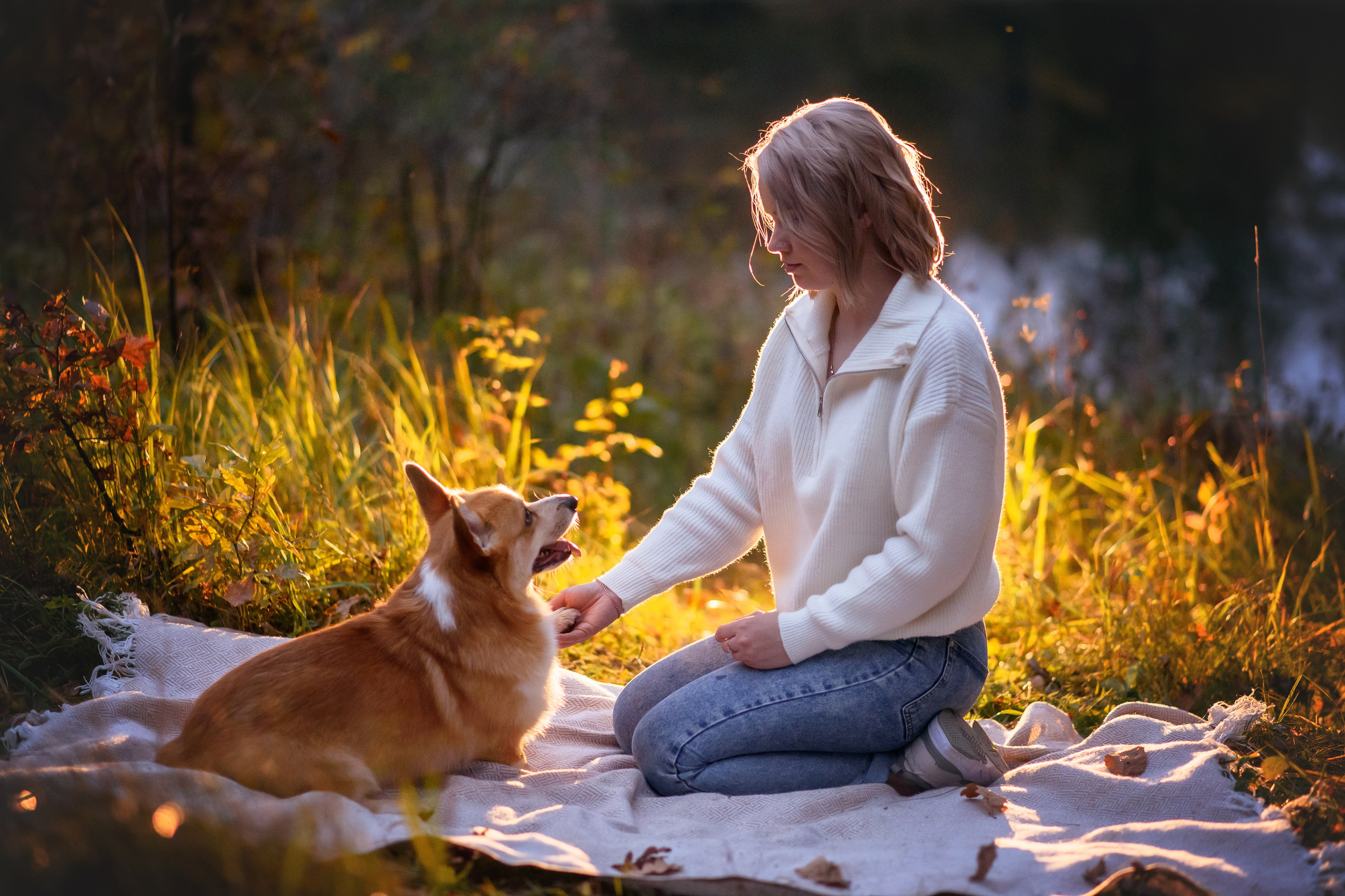 Женя и Феникс — 05.10.2024. Фотограф — Анималист | Анна Абрамова