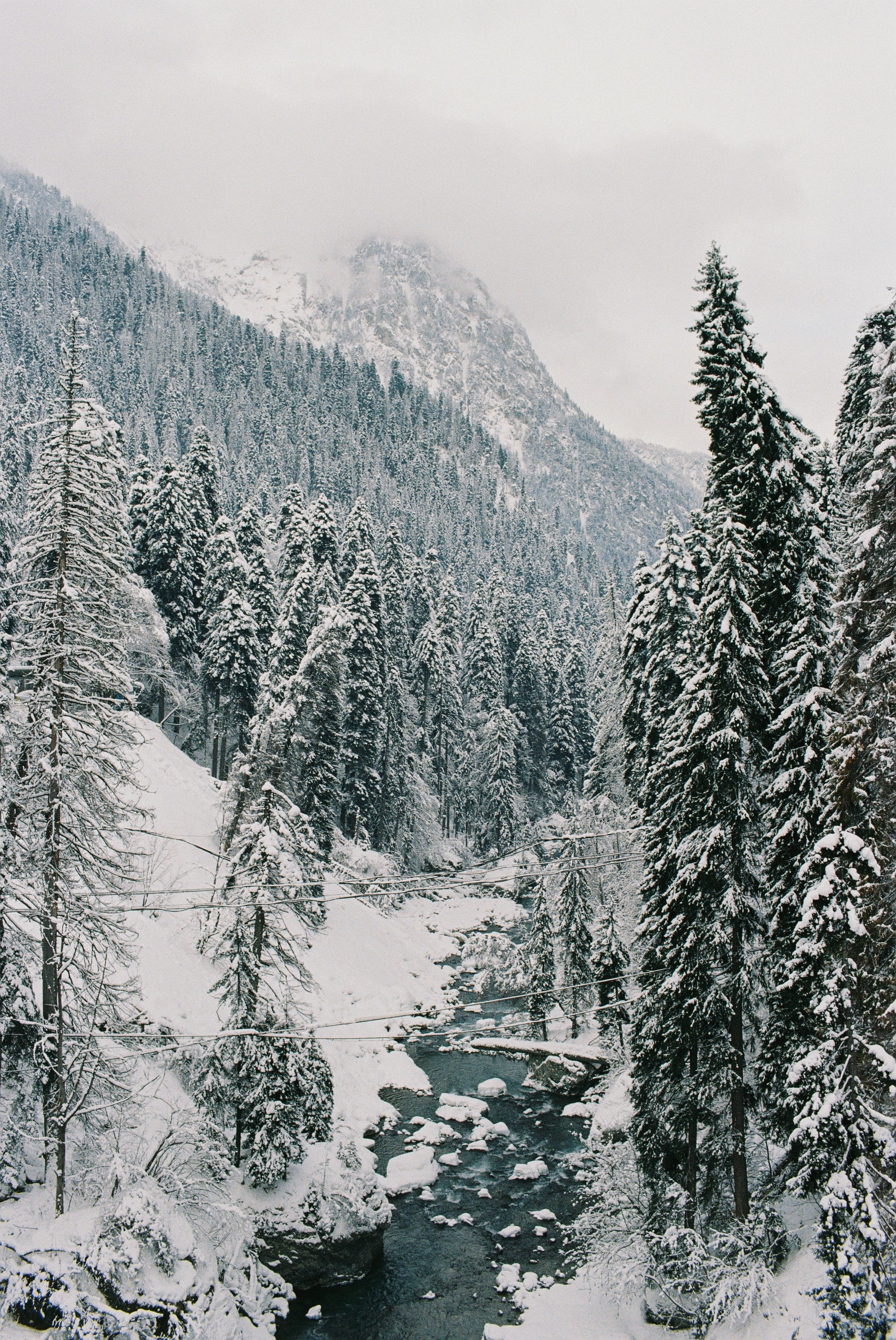 Пленка. Фотограф Ирина Гринько Тольятти Самара Москва
